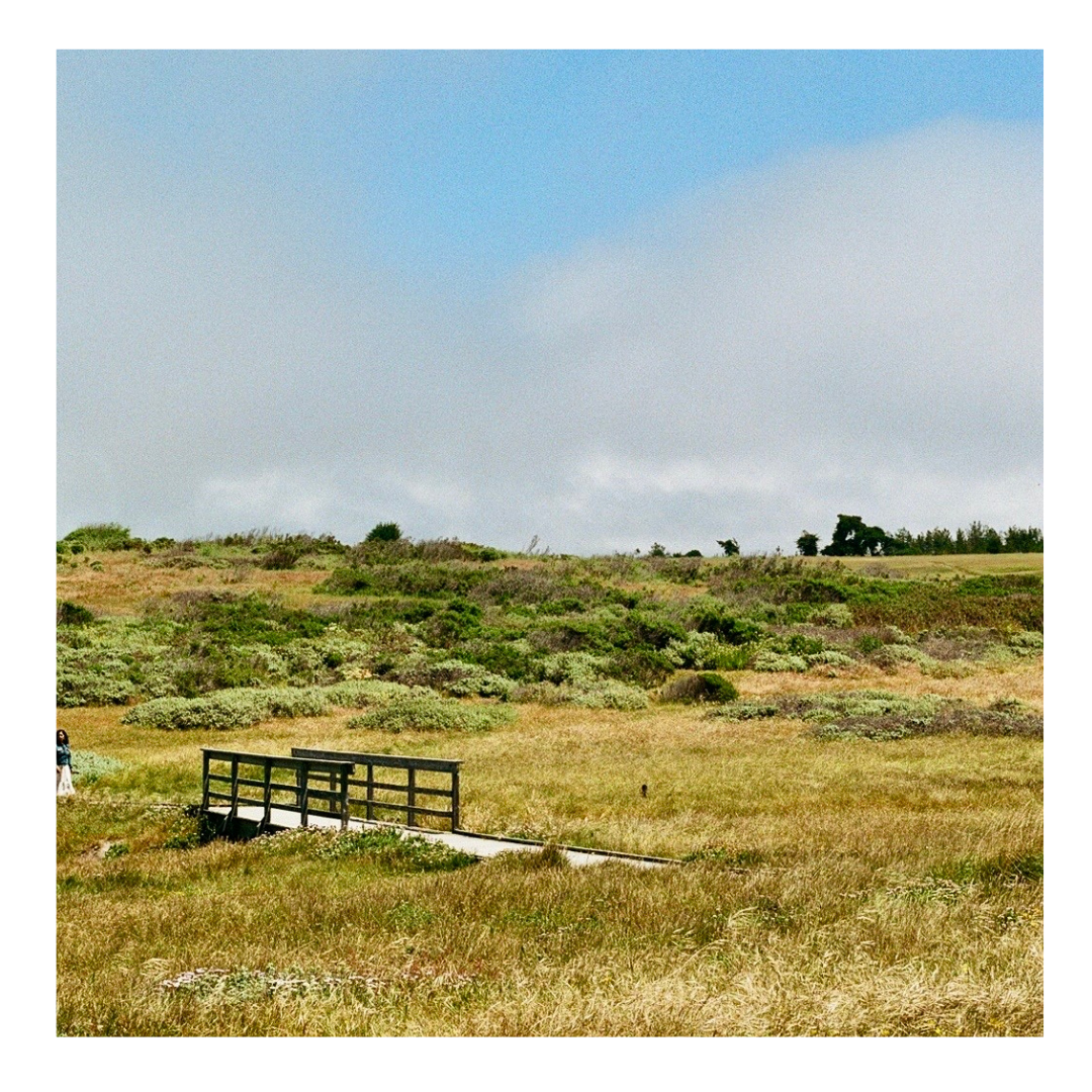Cambria Fiscalini Ranch Bridge - 35mm Film Print with frame