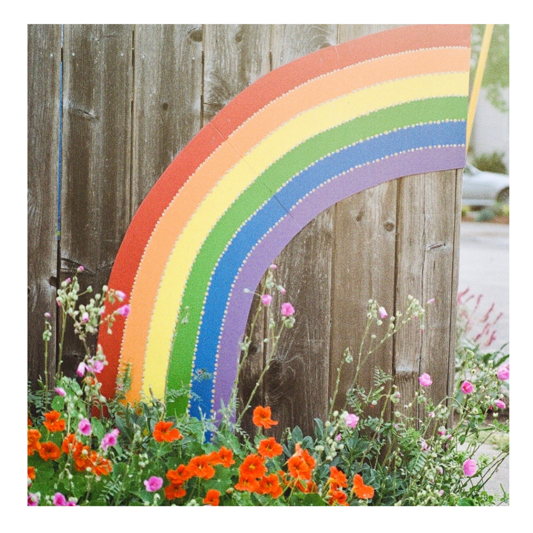 Berkeley Rainbow Fence - 35mm Film Print with frame