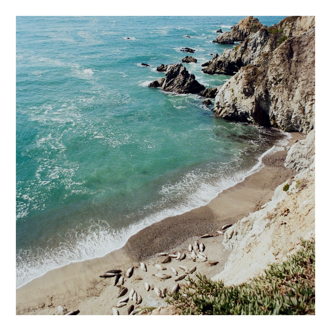 Point Reyes Chimney Trail - 35mm Film Print with frame