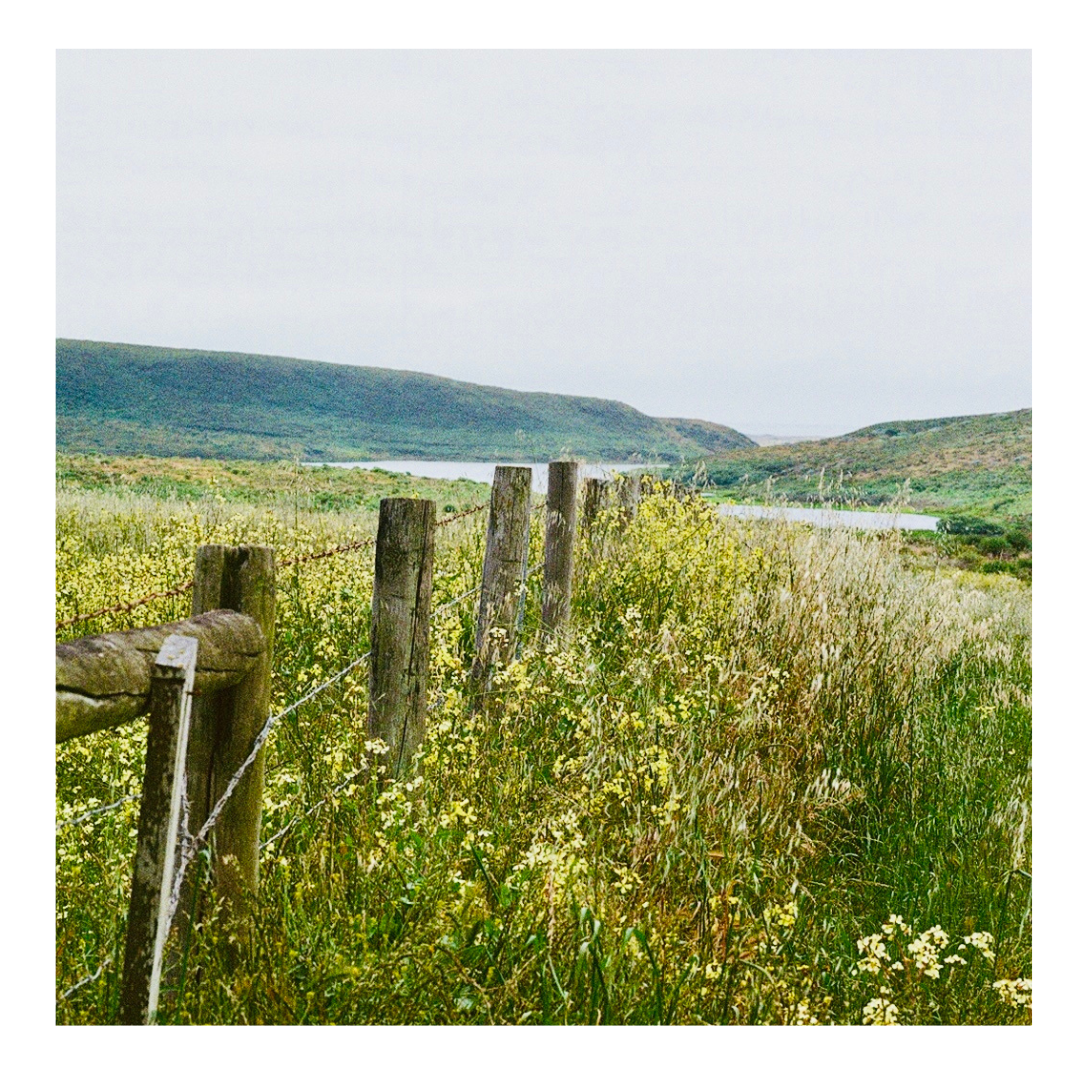 Point Reyes Fenceline - 35mm Film Print with frame
