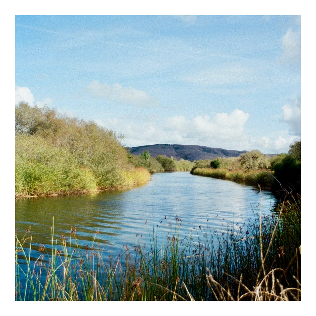 Inverness Tomales Bay - 35mm Film Print with frame
