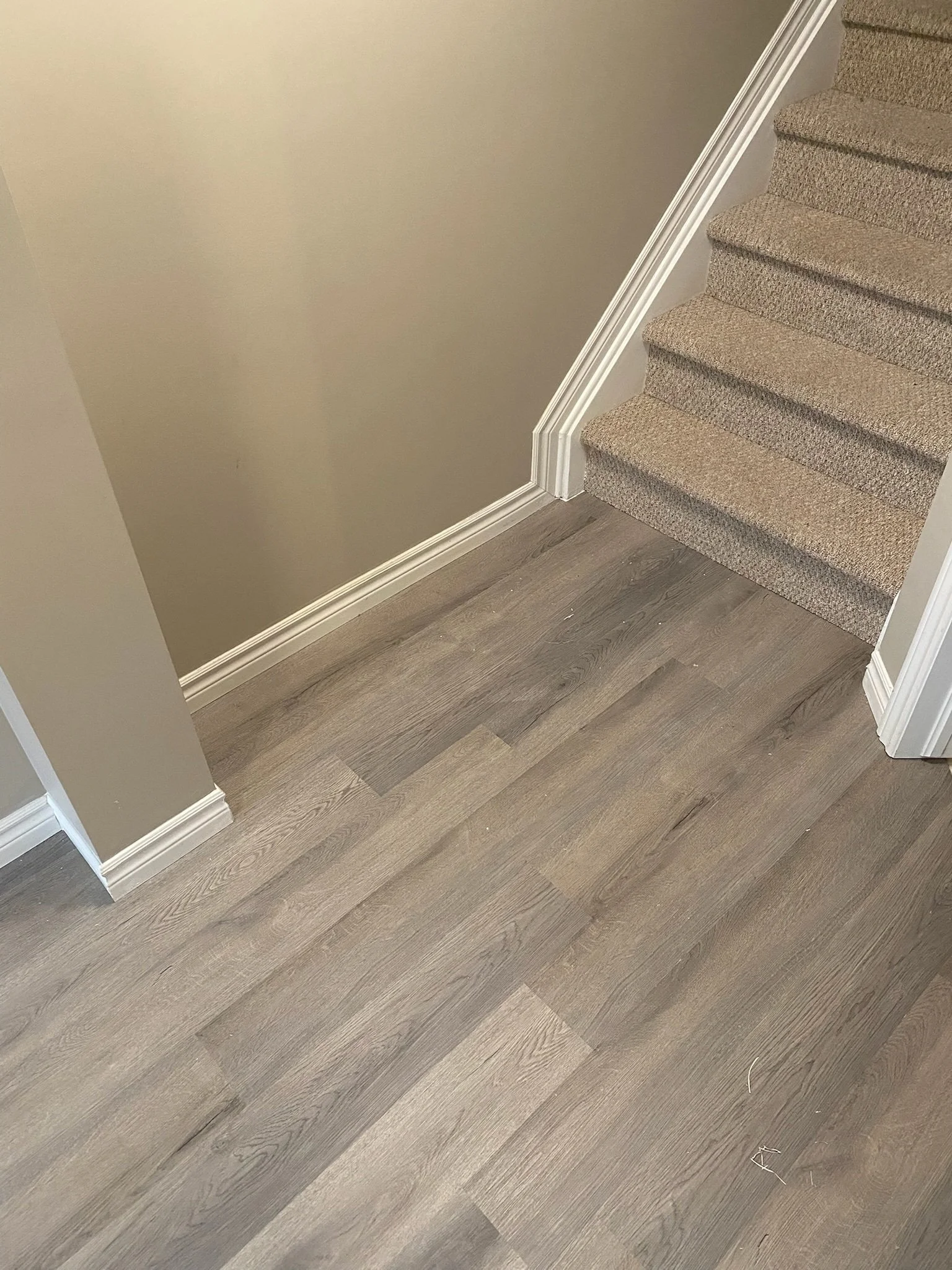 Baseboards and trim are where my attention to detail can really shine
