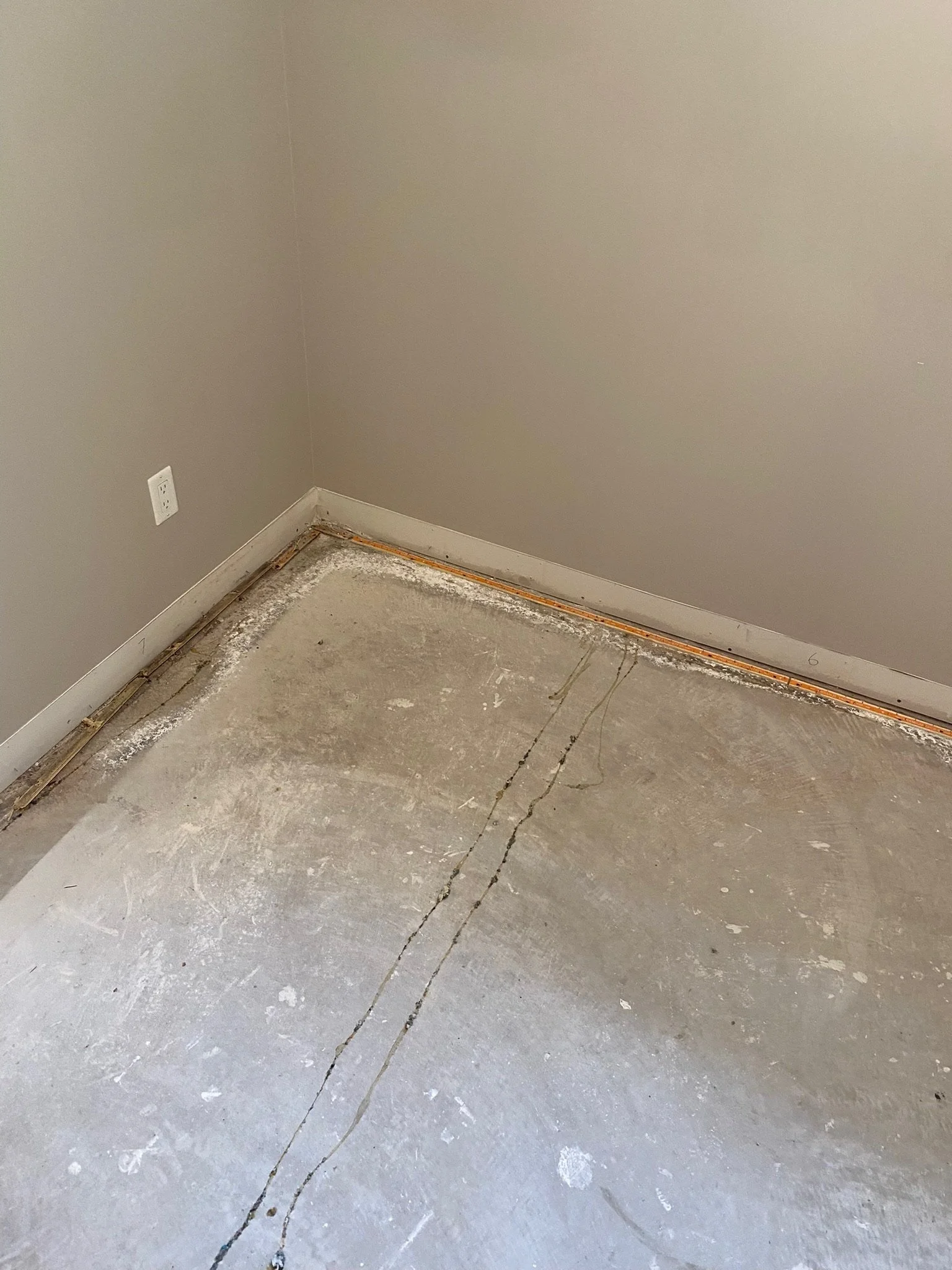 I found mold under the old carpet.