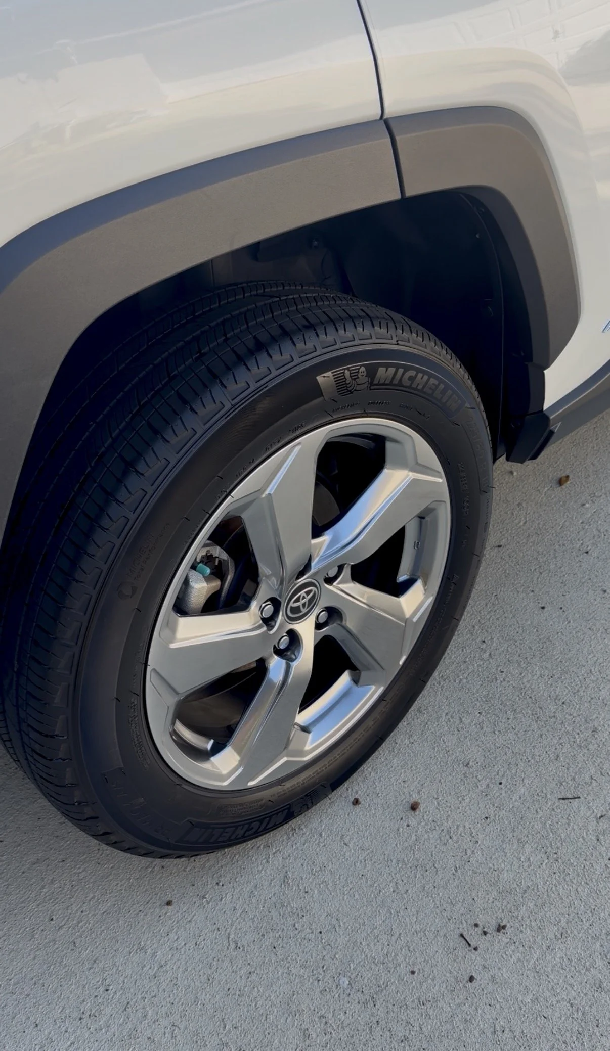 High-end car detailing results in Citrus County Florida