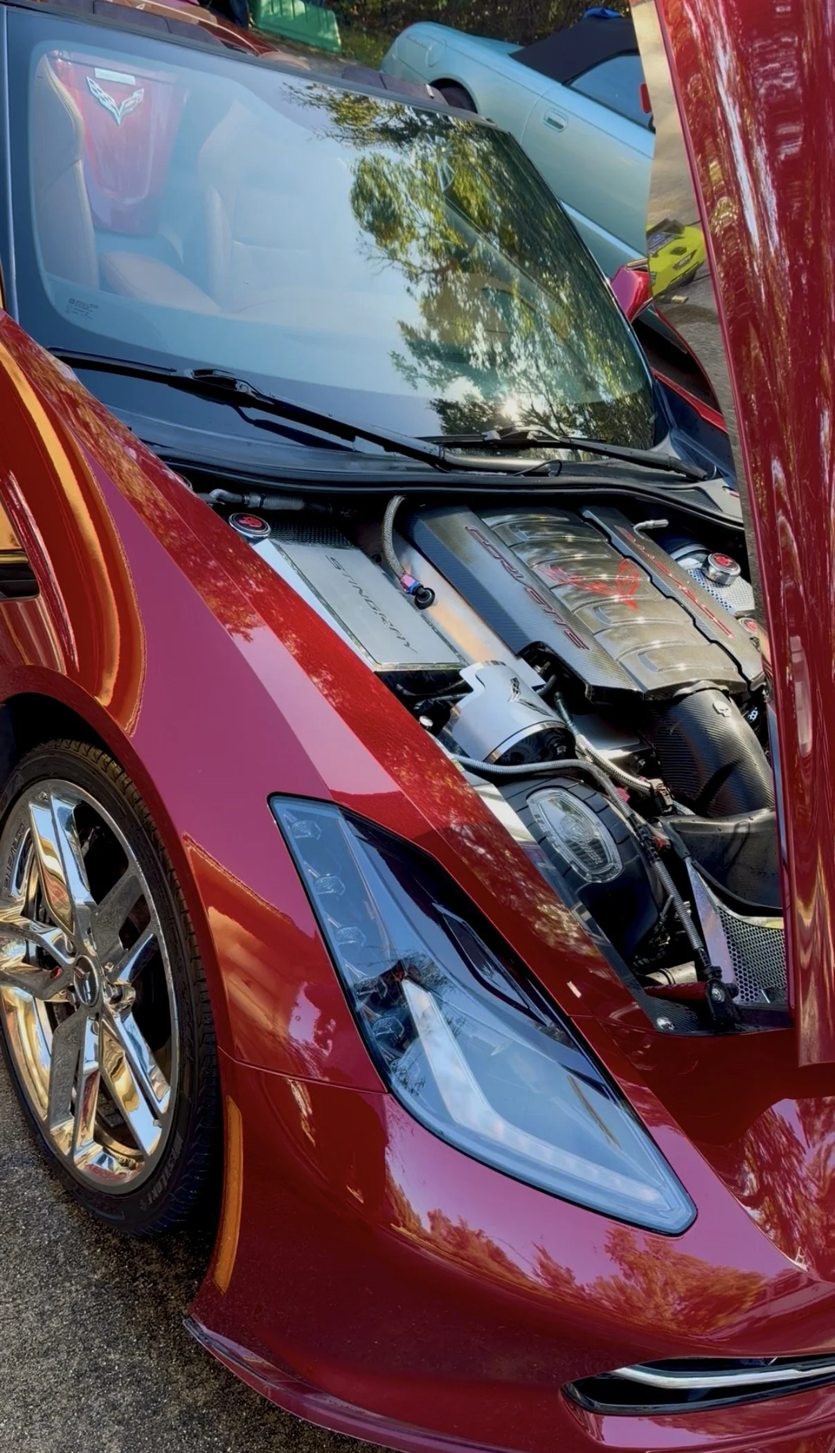 High-end car detailing results in Citrus County Florida