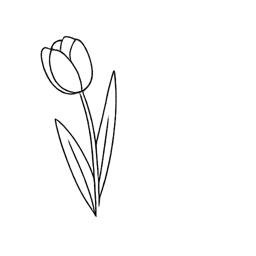 Line drawing of a tulip flower with leaves on a black background