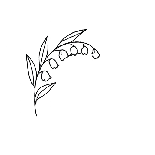 Line drawing of a sprig with elongated leaves and a curved row of small berries or buds.