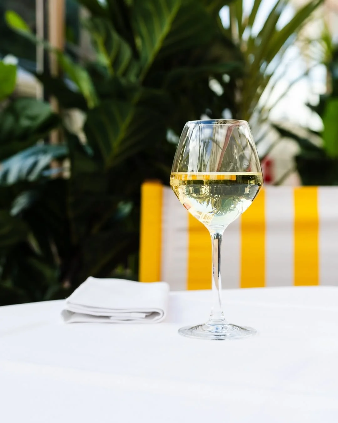 Verre de vin blanc sur une table avec nappe blanche, en arrière-plan des plantes vertes et un panneau jaune et blanc.