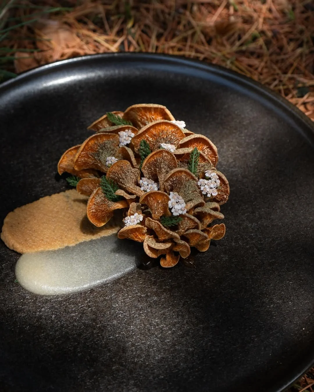 Un plat gastronomique avec des champignons séchés, décorés de petites fleurs et de feuilles vertes, accompagnés de deux sauces différentes sur une assiette noire.
