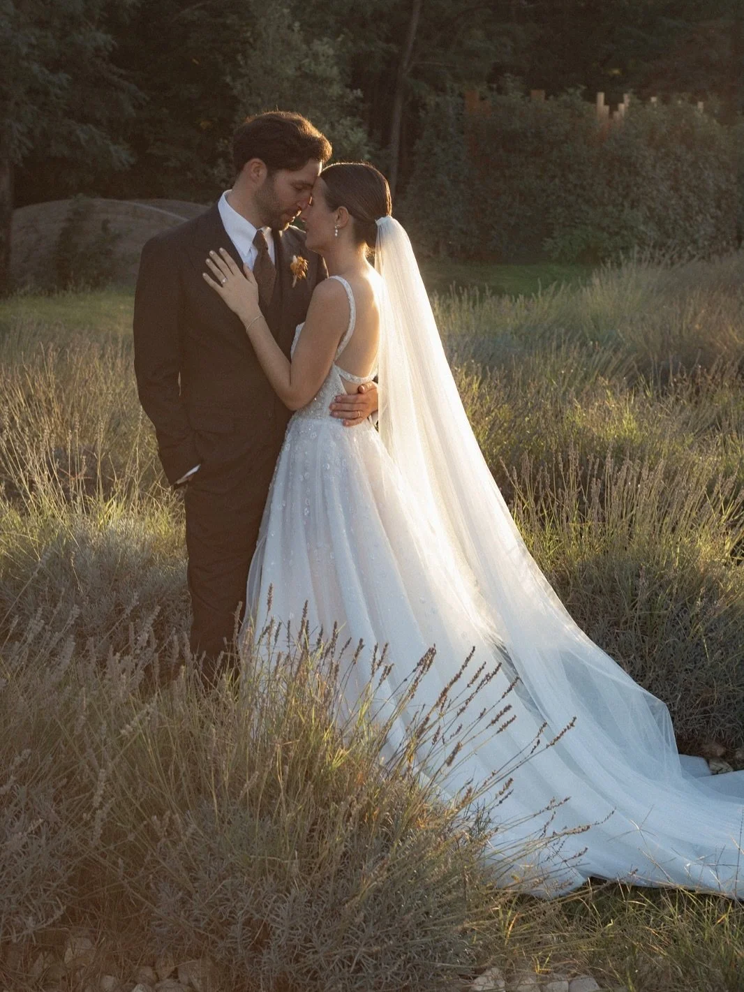Un couple en mariage se tient dans un champ avec des roseaux, la lumière du coucher de soleil illumine la scène, le couple s'embrasse tendrement.