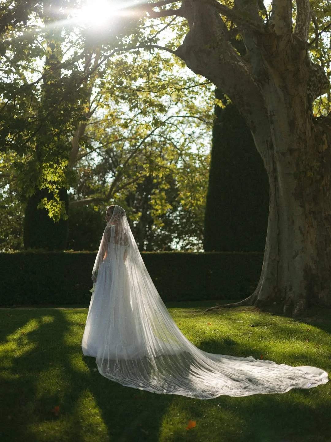 Une femme en robe de mariée avec une longue traîne, vue de dos, sous un arbre dans un jardin, avec la lumière du soleil filtrant à travers les feuillages.