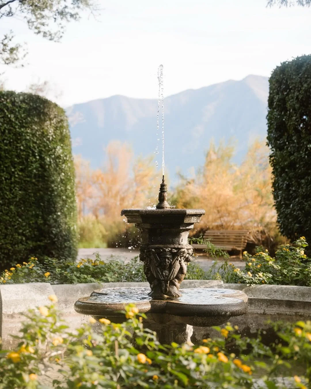 Une fontaine ancienne en pierre dans un jardin, entourée de buissons et de fleurs jaunes, avec des montagnes en arrière-plan, sous un ciel clair.