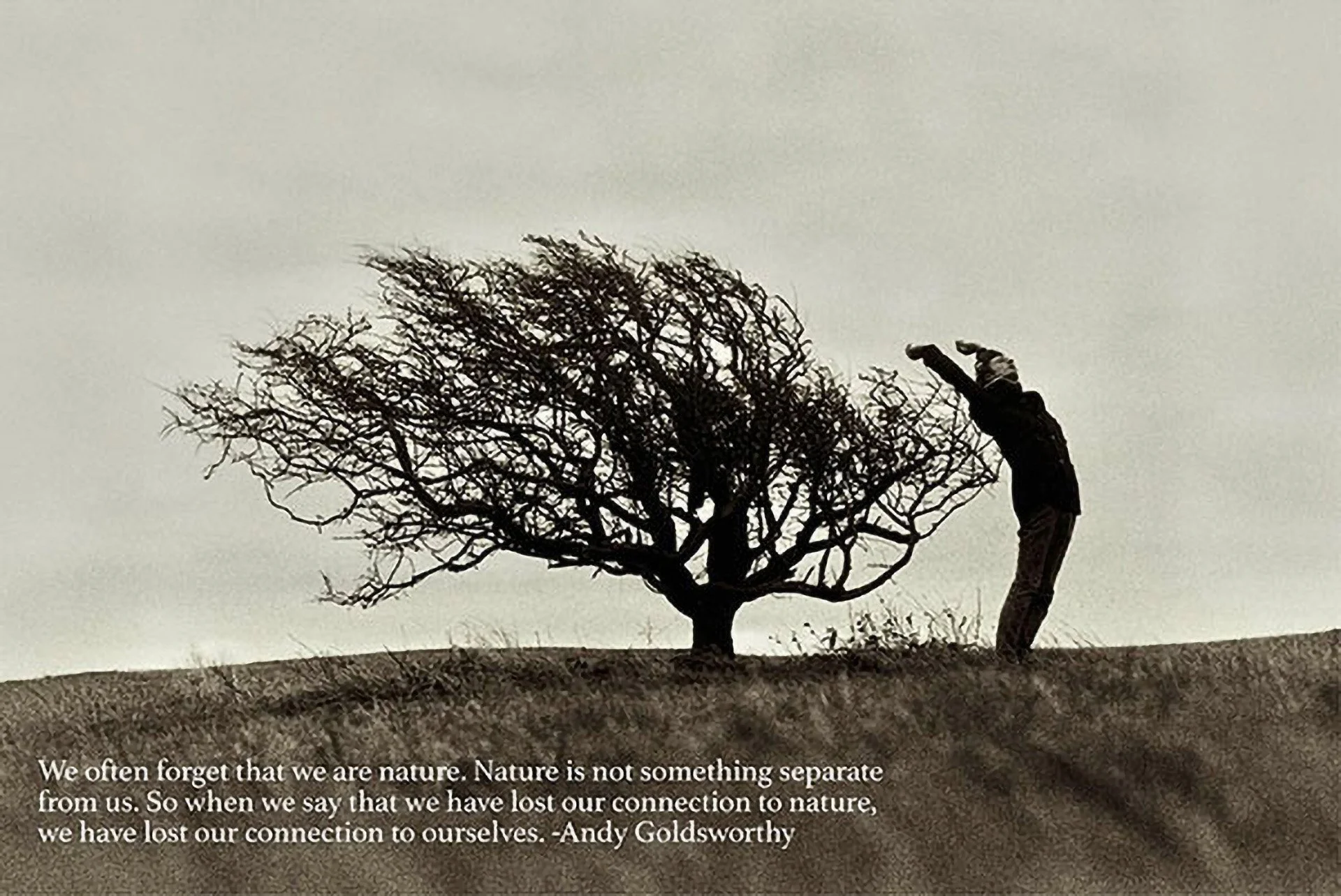 Fabric Finding, The Cruel World, and Castor Oil