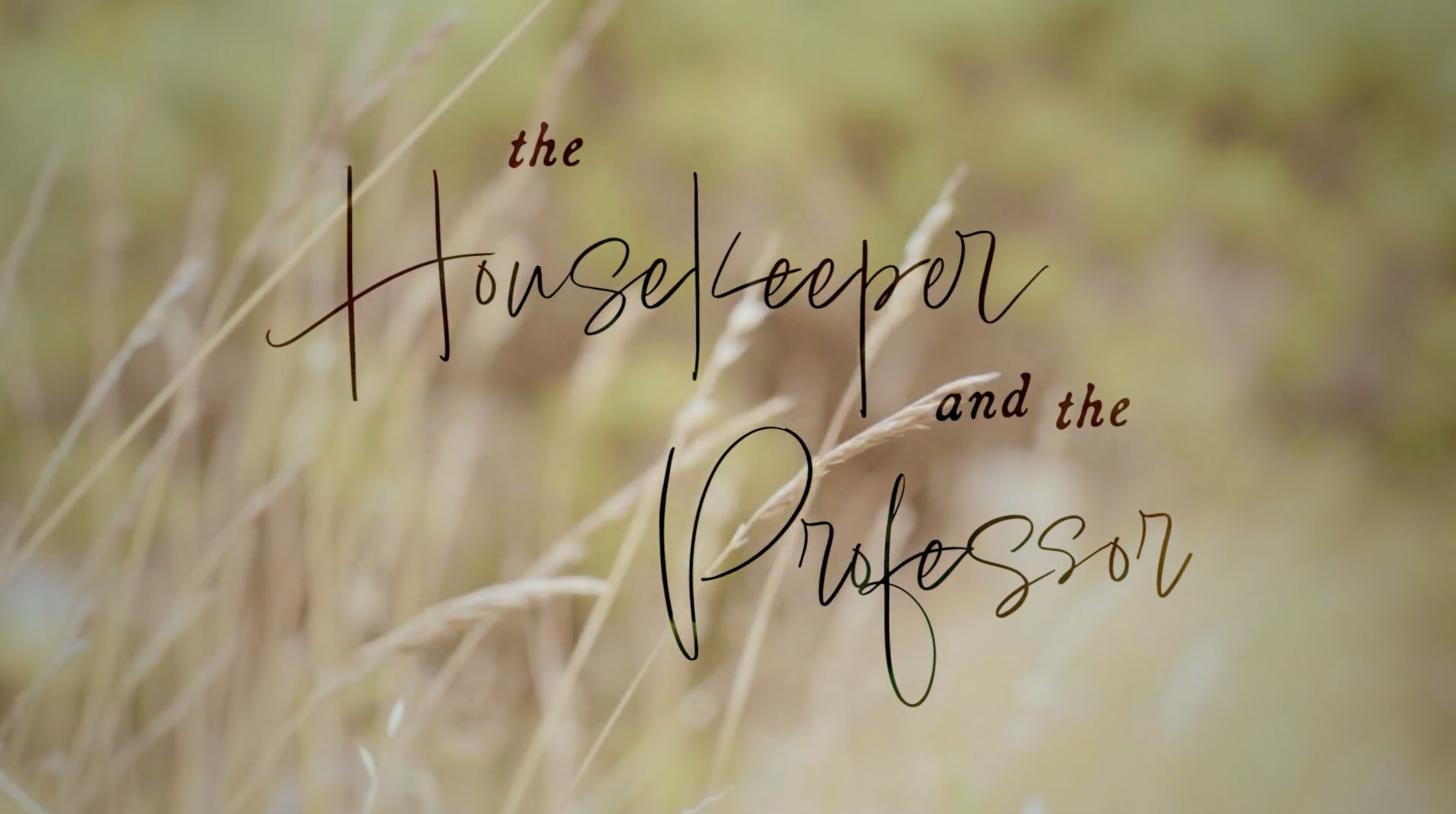 The Housekeeper and the Professor