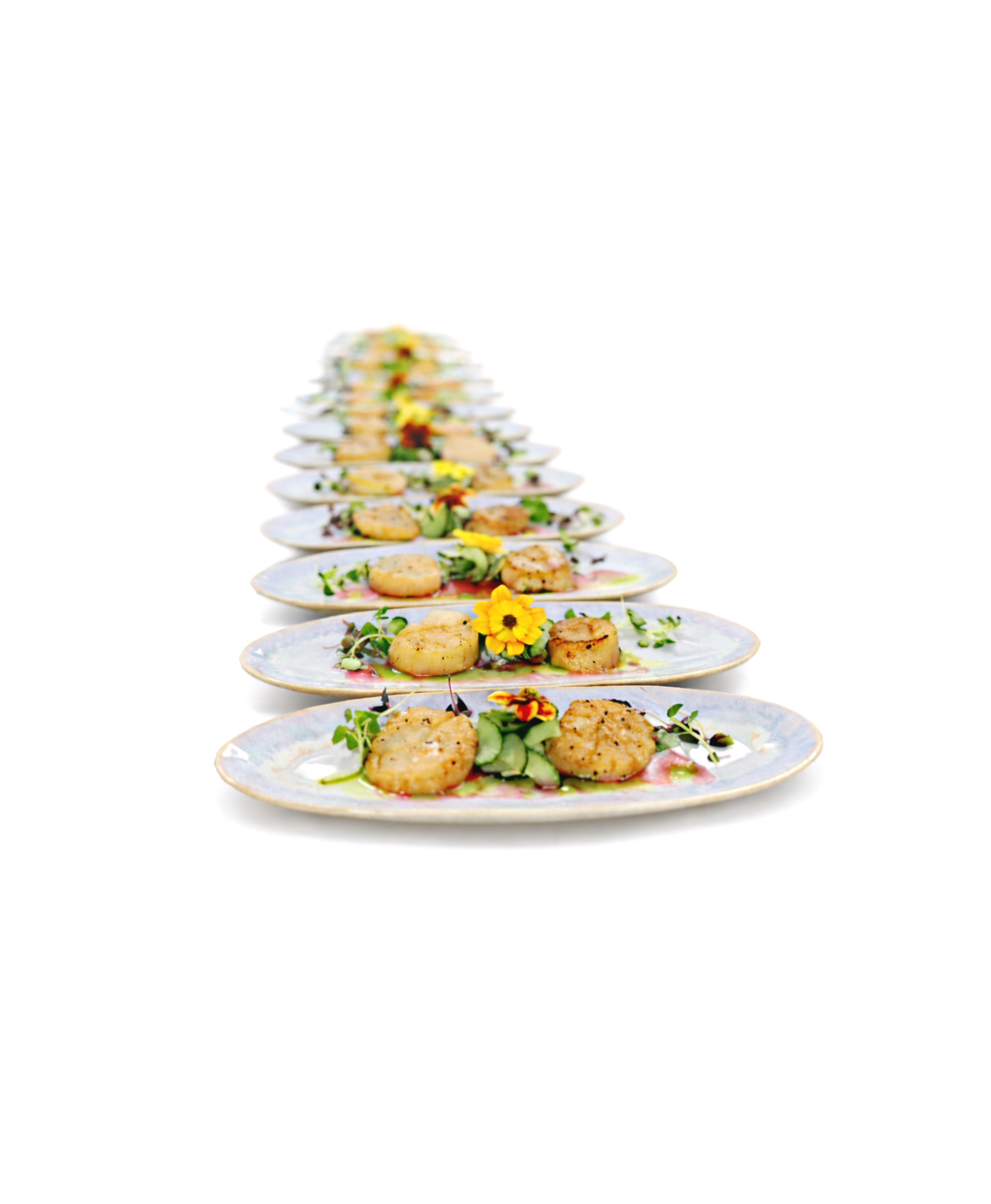 A long row of elegantly plated gourmet appetizers on white plates, decorated with edible flowers and microgreens, arranged on a white background.