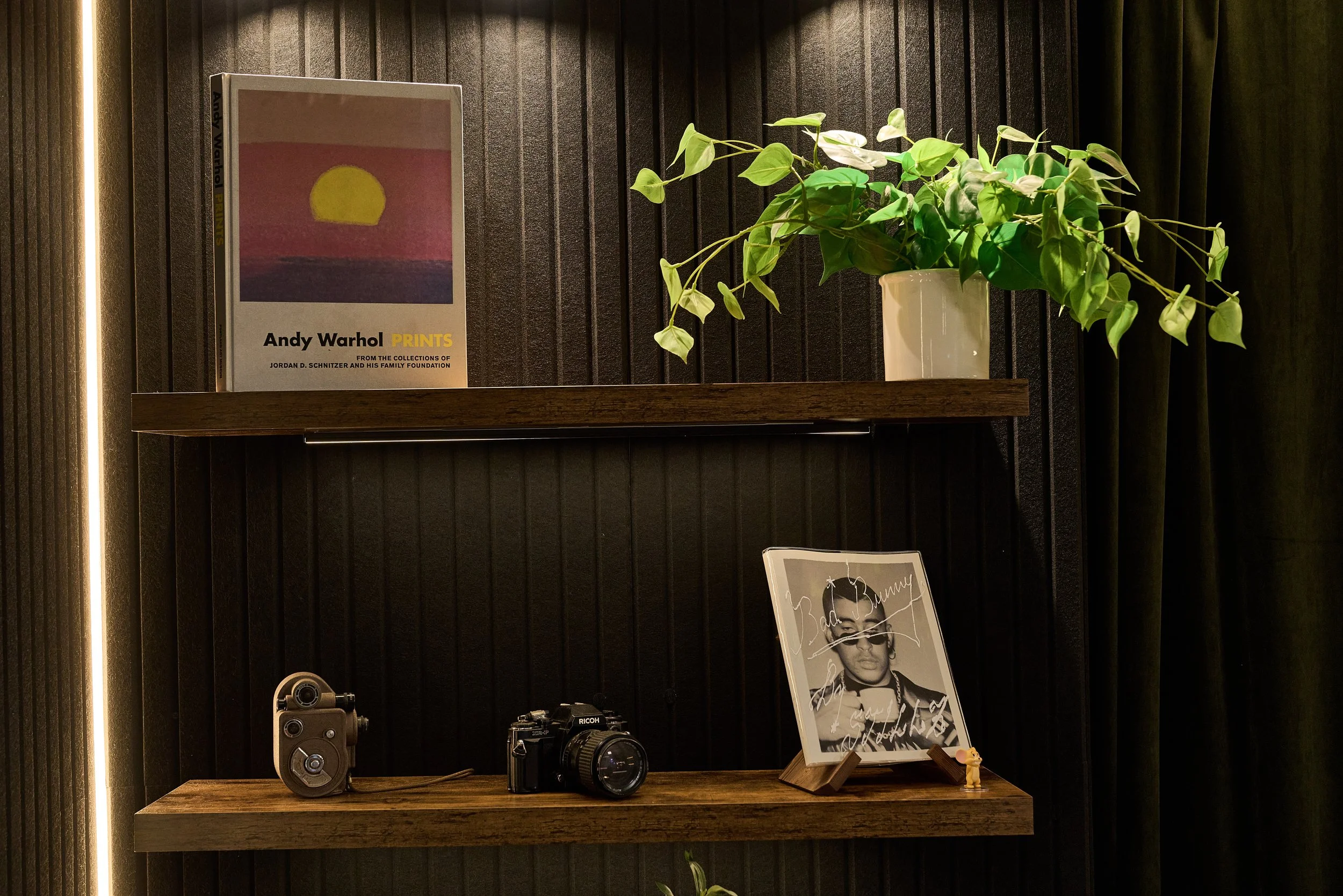 Room with black panel wall featuring two wooden shelves with decorations including a potted plant, two cameras, a framed photo, and a book titled Andy Warhol Prints.