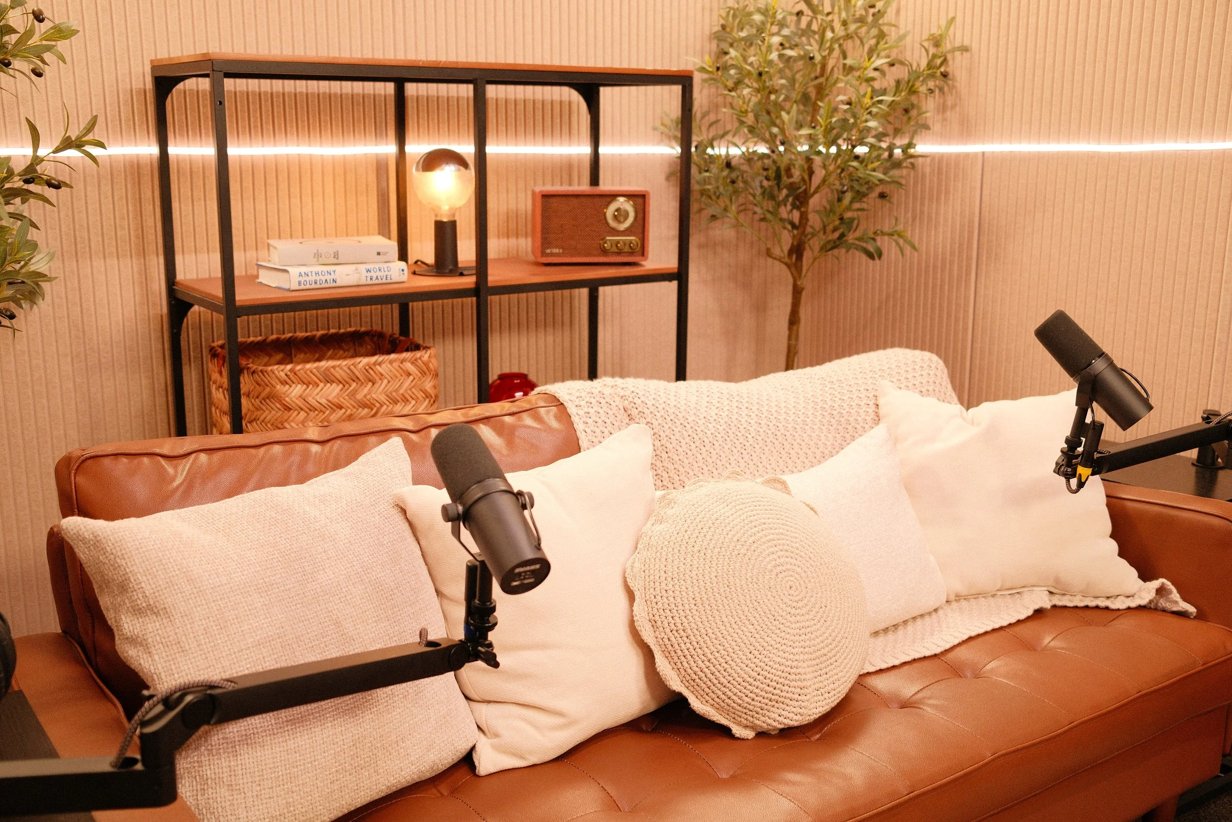 Cozy living room with a leather sofa covered in knitted and fabric pillows, two microphones positioned in front of the sofa, a black metal bookshelf with books, a small lamp, a vintage radio, and a woven basket, with a potted plant and warm lighting 