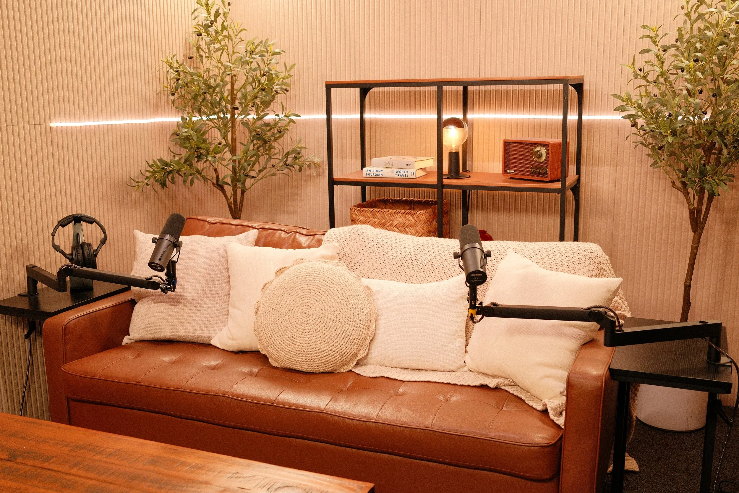 Cozy living room with a leather sofa adorned with white pillows and a knitted round cushion, two microphones on adjustable arms, indoor plants, and a modern shelving unit with decor and books.