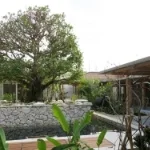 空の森クリニック