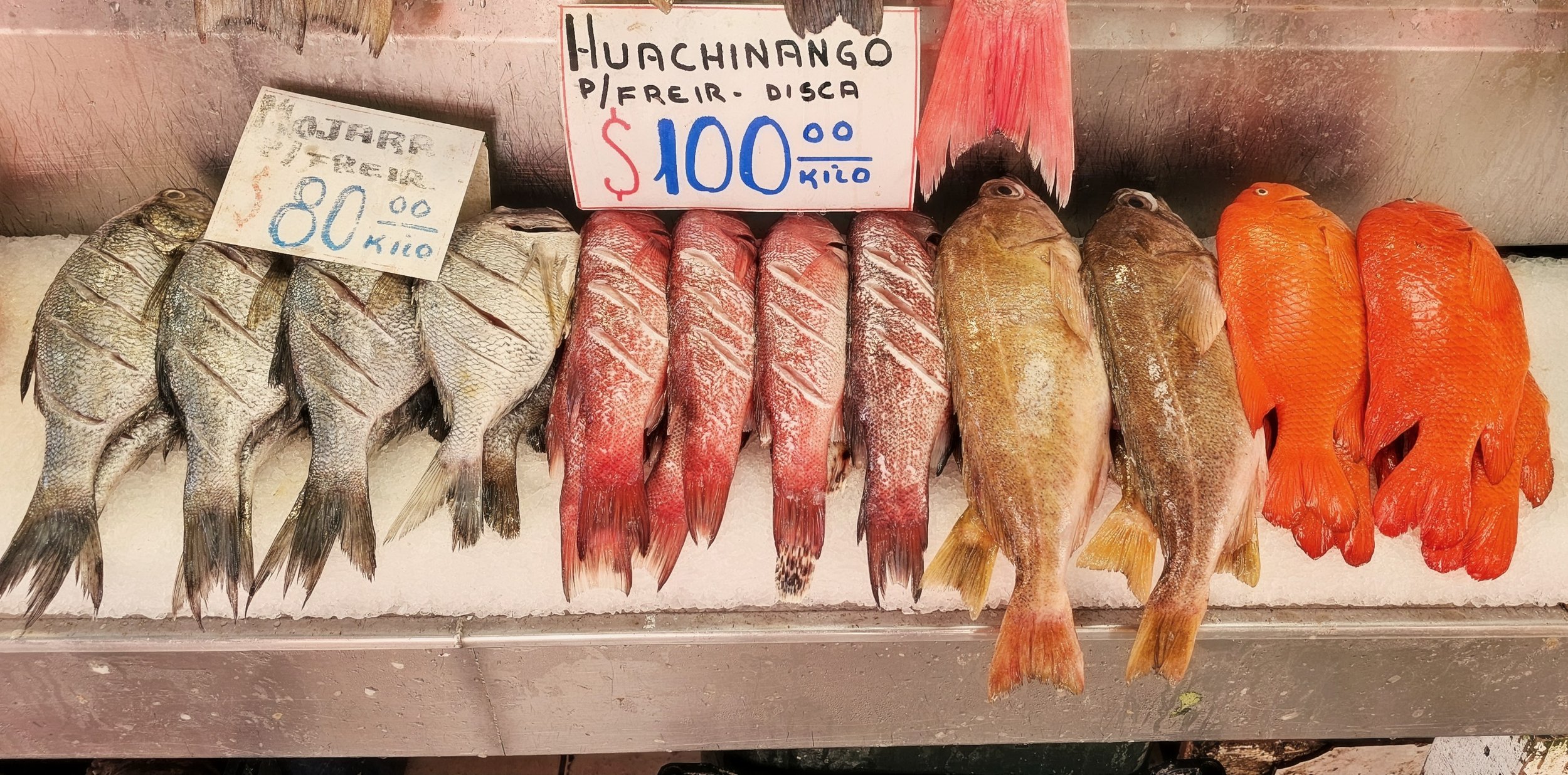 Negro Fish Market Catch