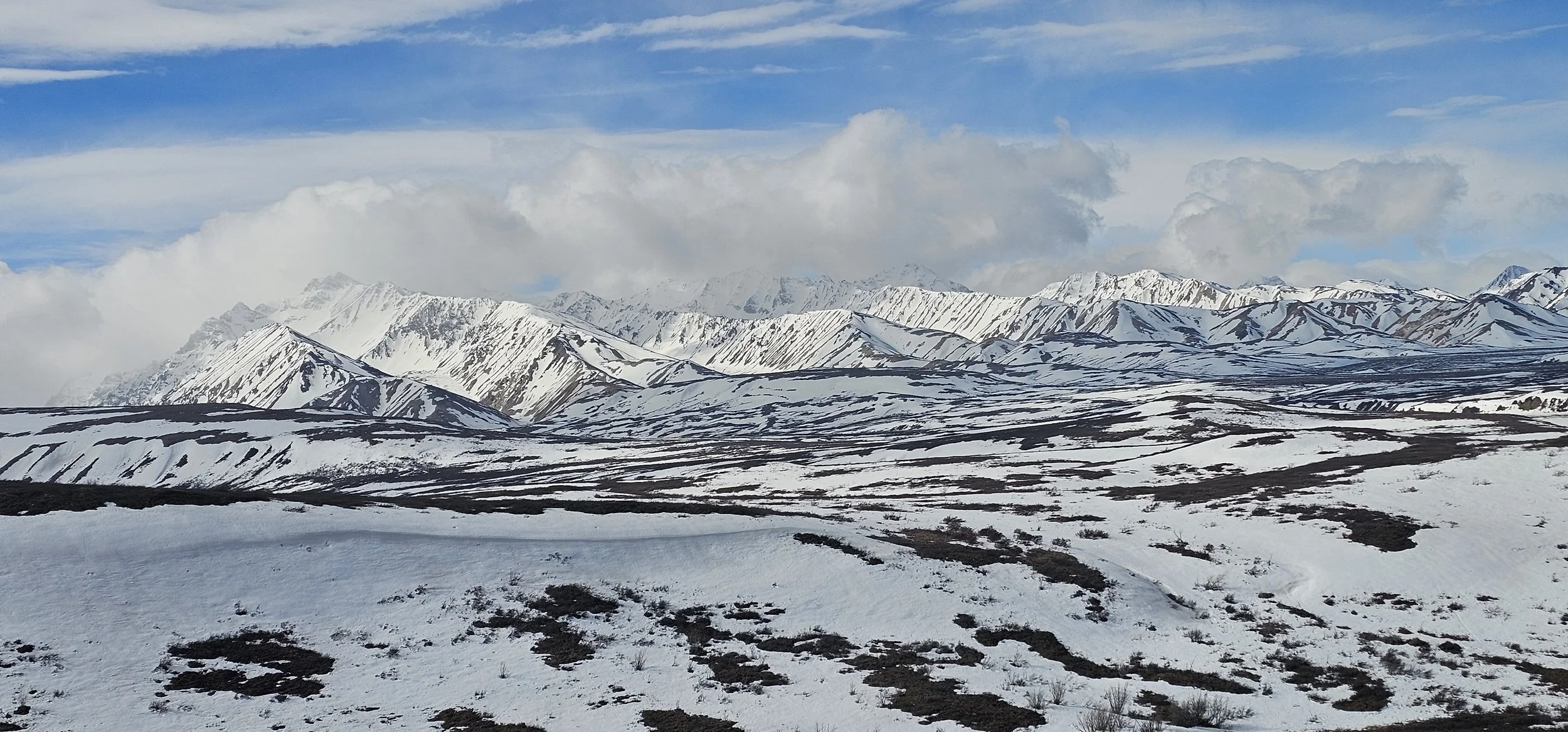 Alaska Range from Park Road