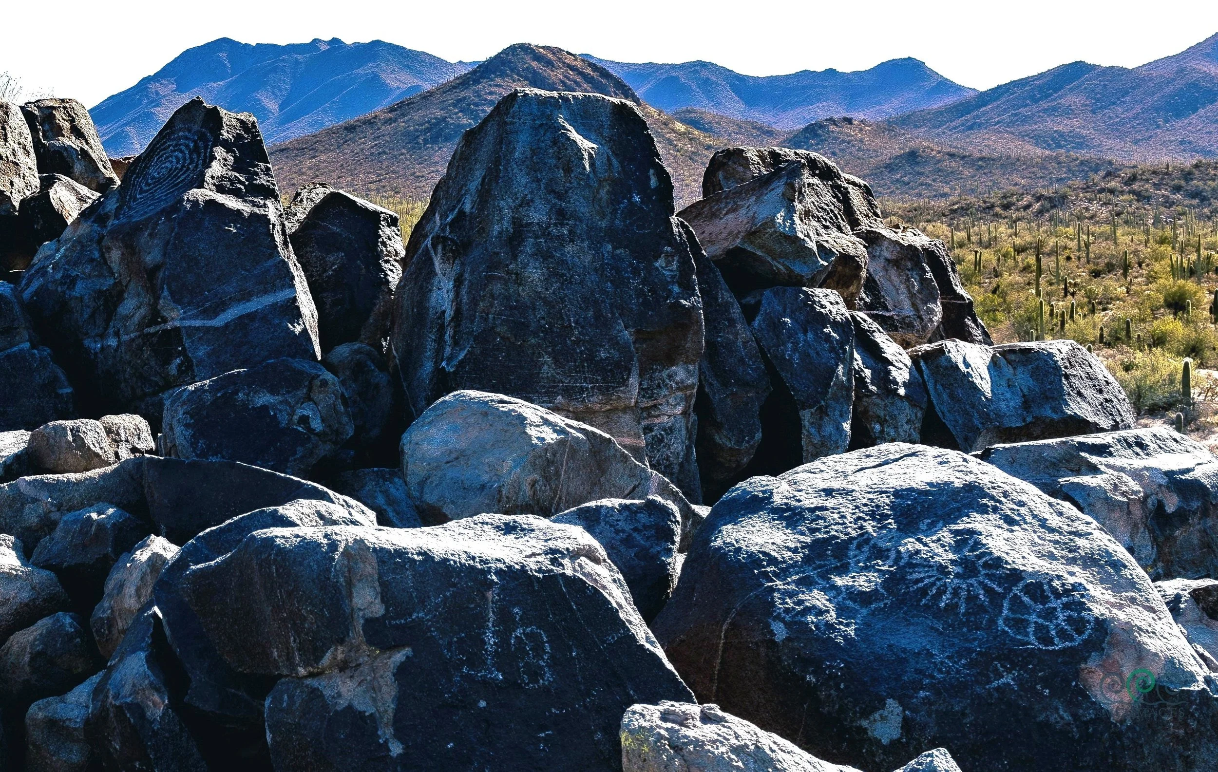 Seguaro West Signal Hill Petroglyphs