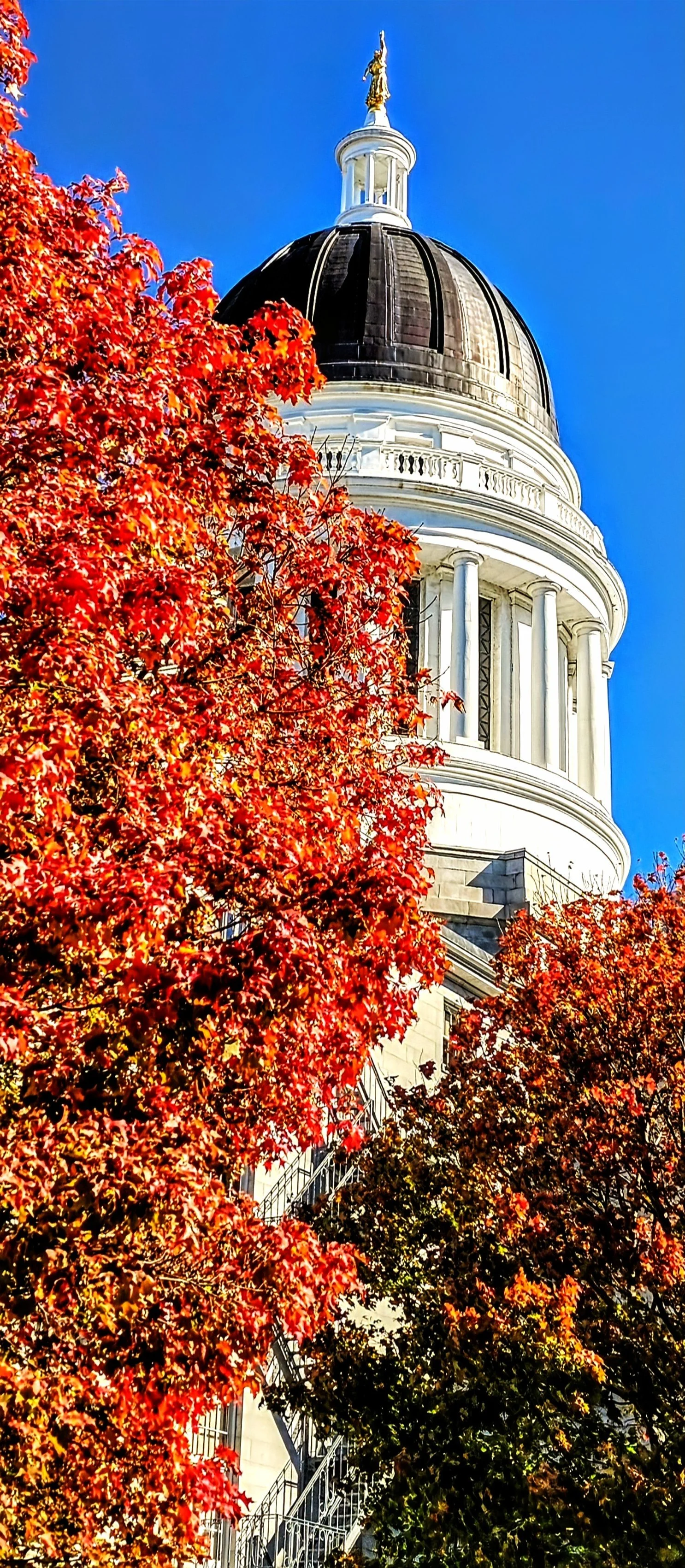 Augusta-Capitol Colors