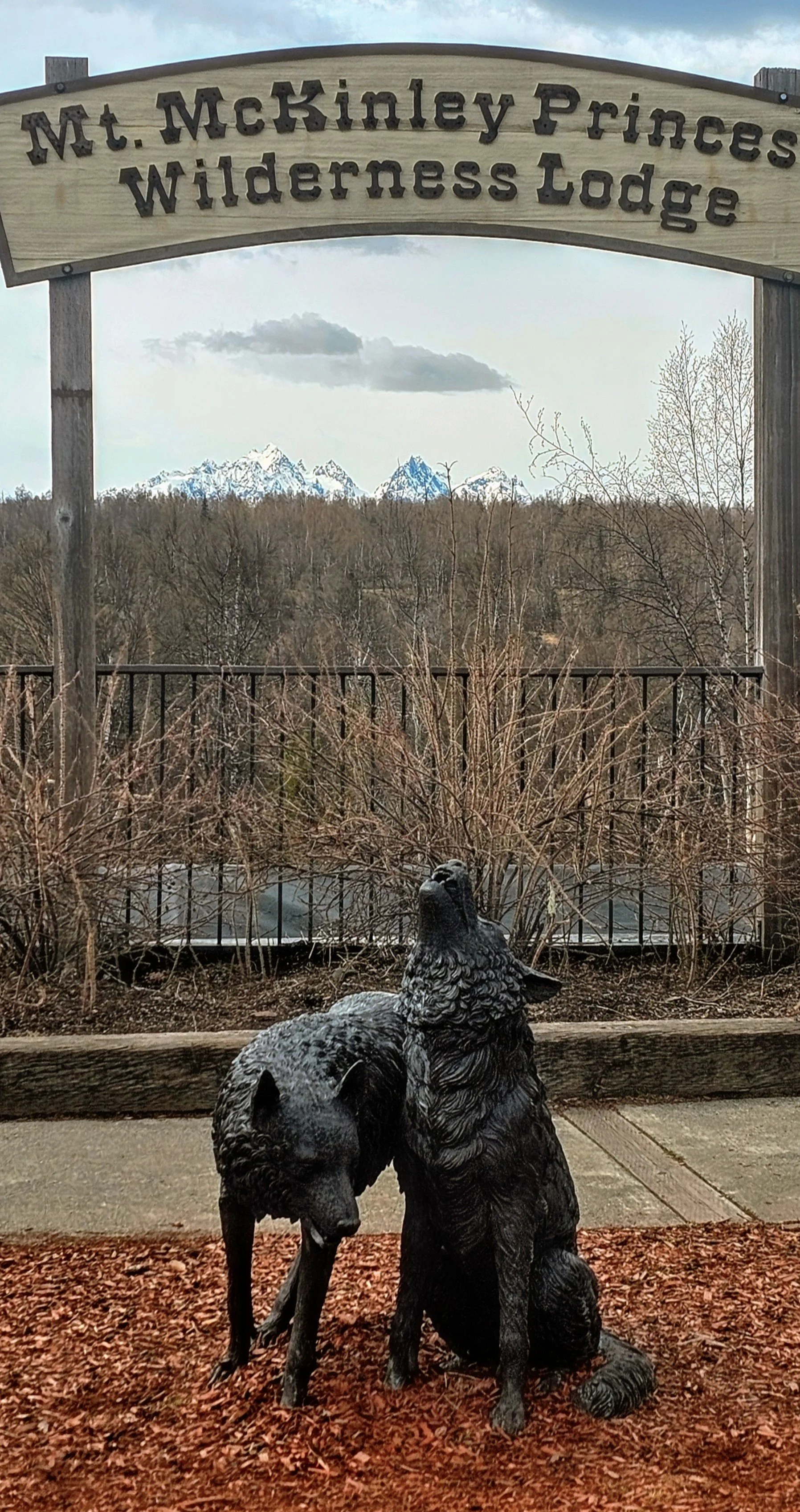 Mt McK Lodge View