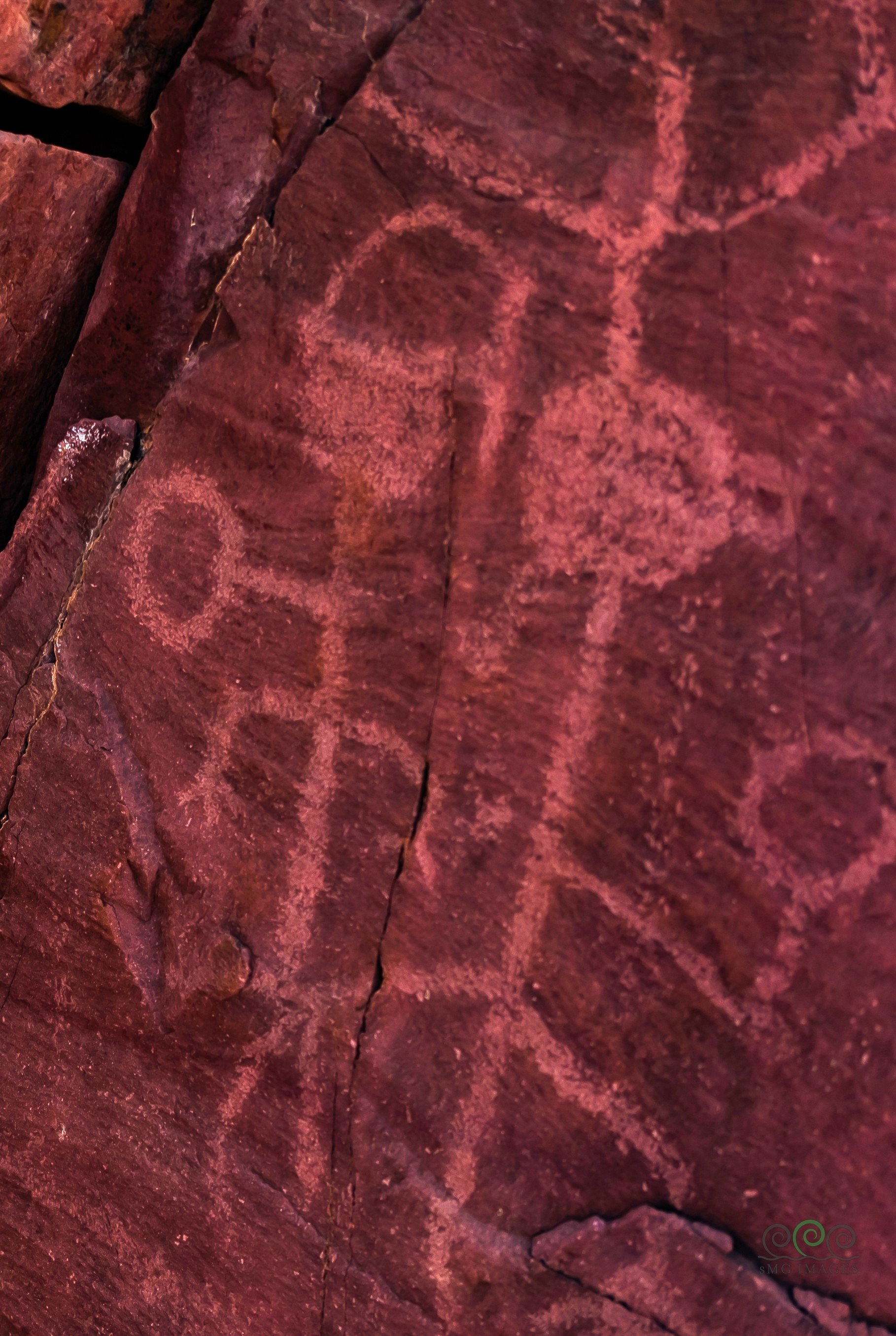 Seguaro West Petroglyphs