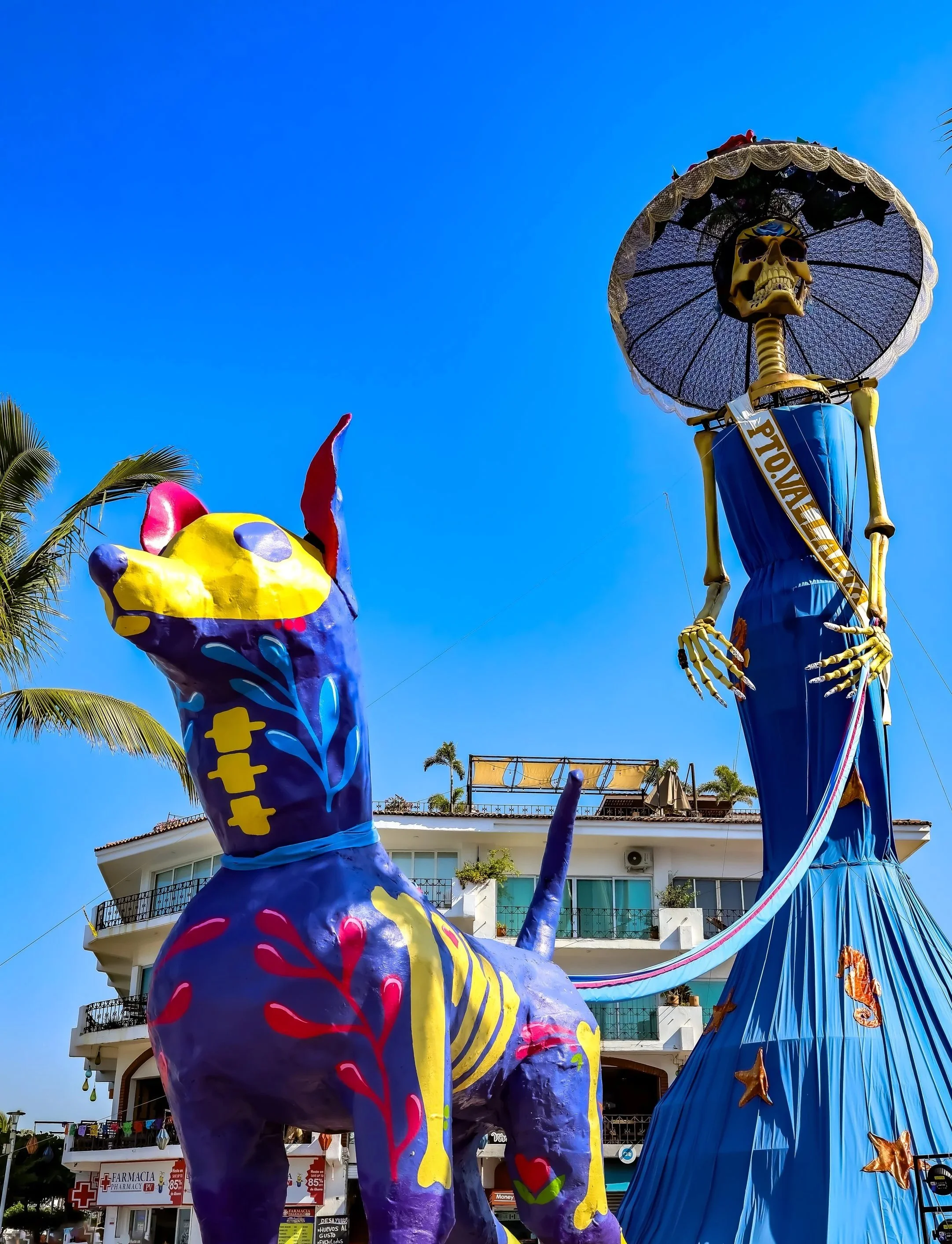 Puerto Vallarta-Malecon DOD Dog Walker