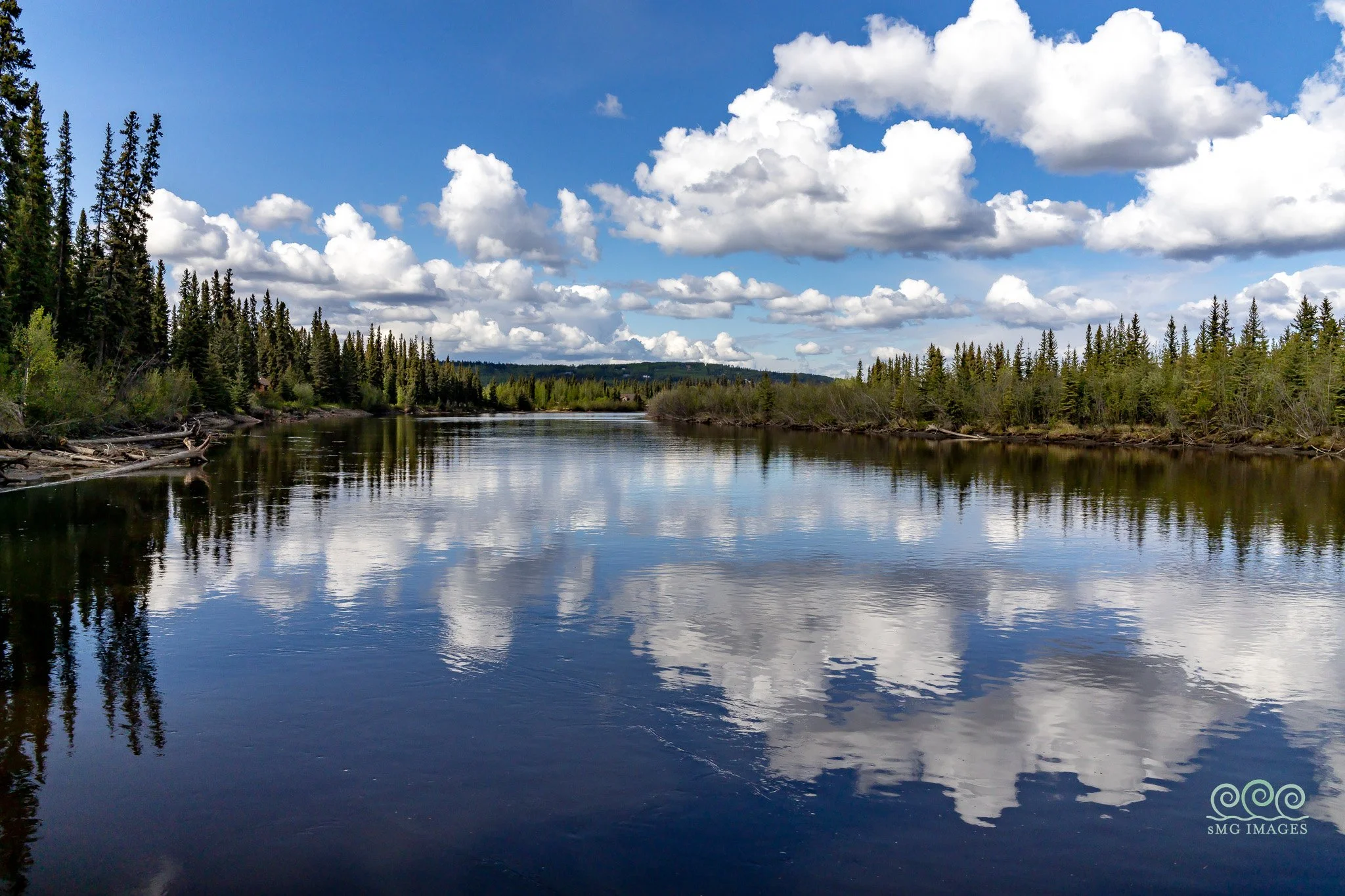 RB-Chena Spring Reflection