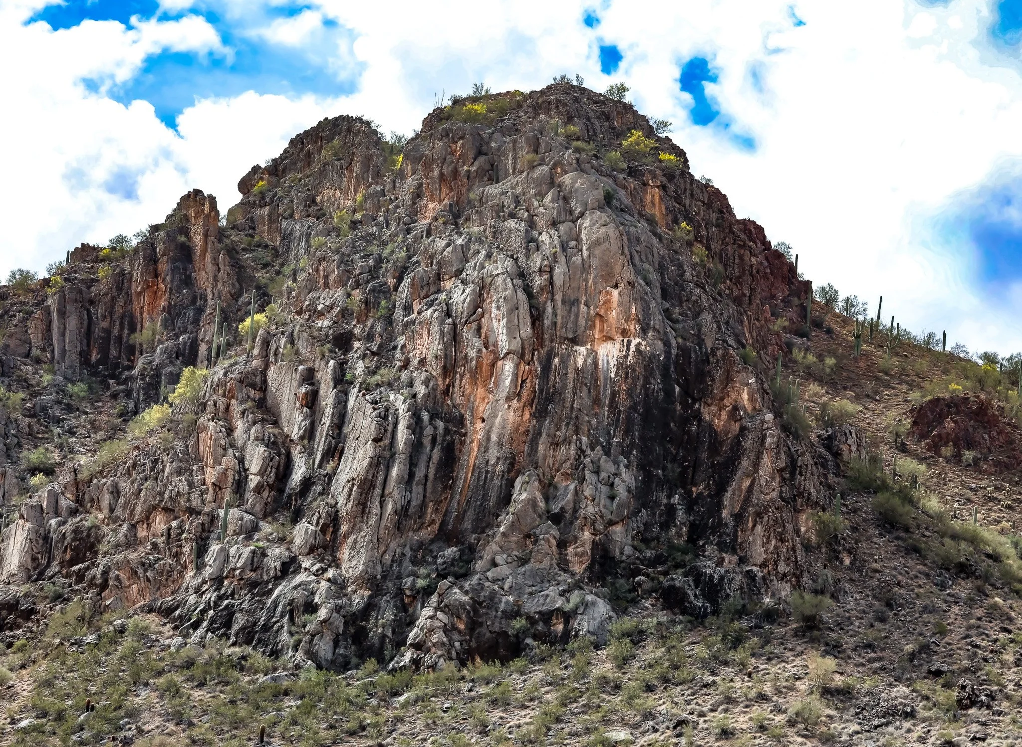 Ironwood Forest National Monument