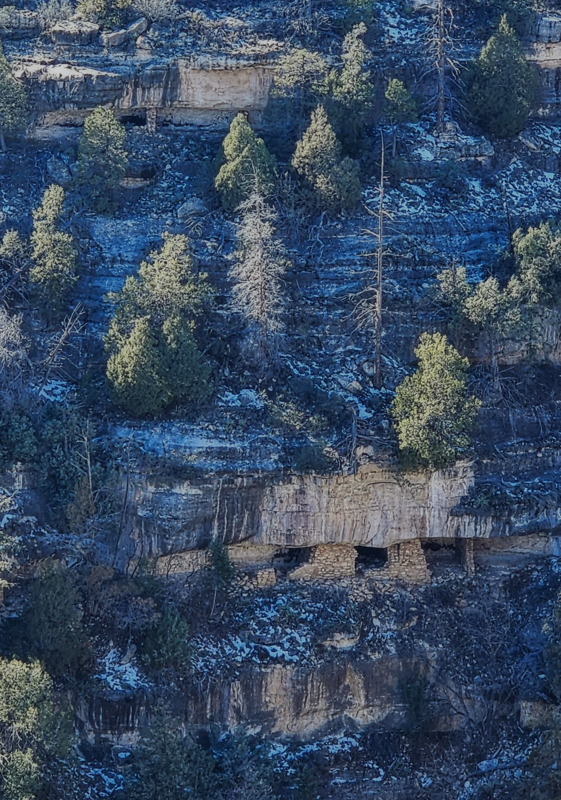 Walnut Canyon Ancient Dwellings