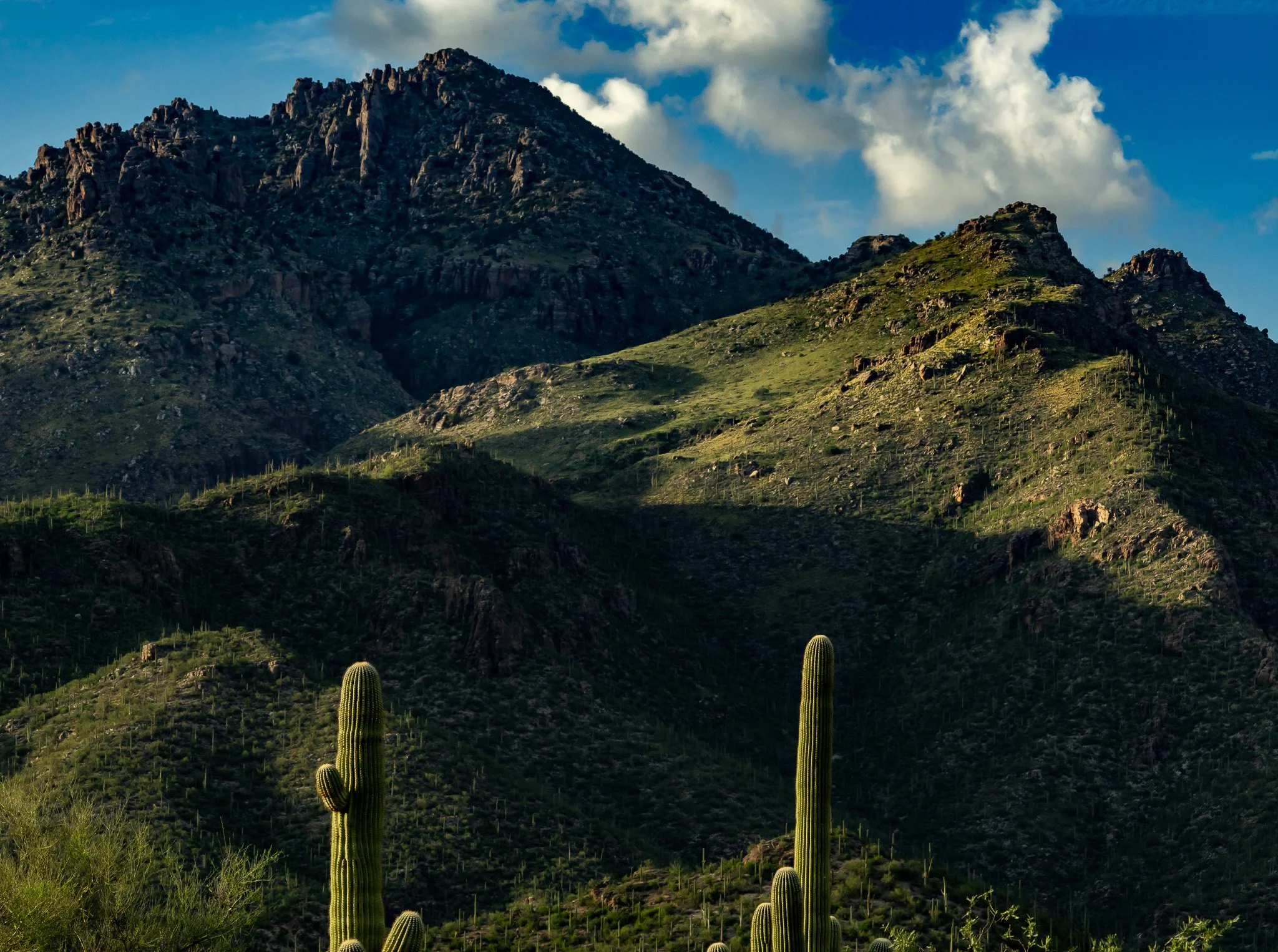 Upper Sabino Canyon