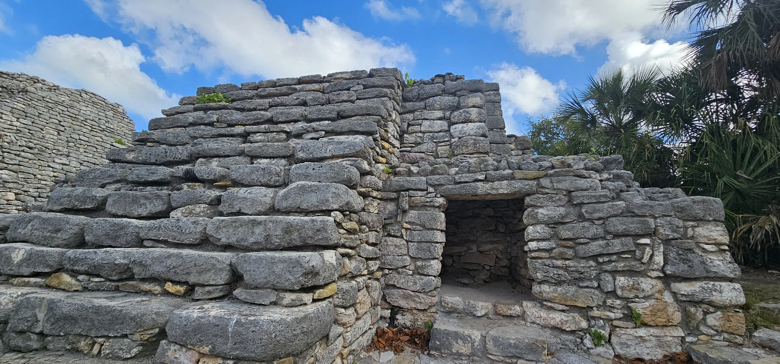 X-Venus Temple