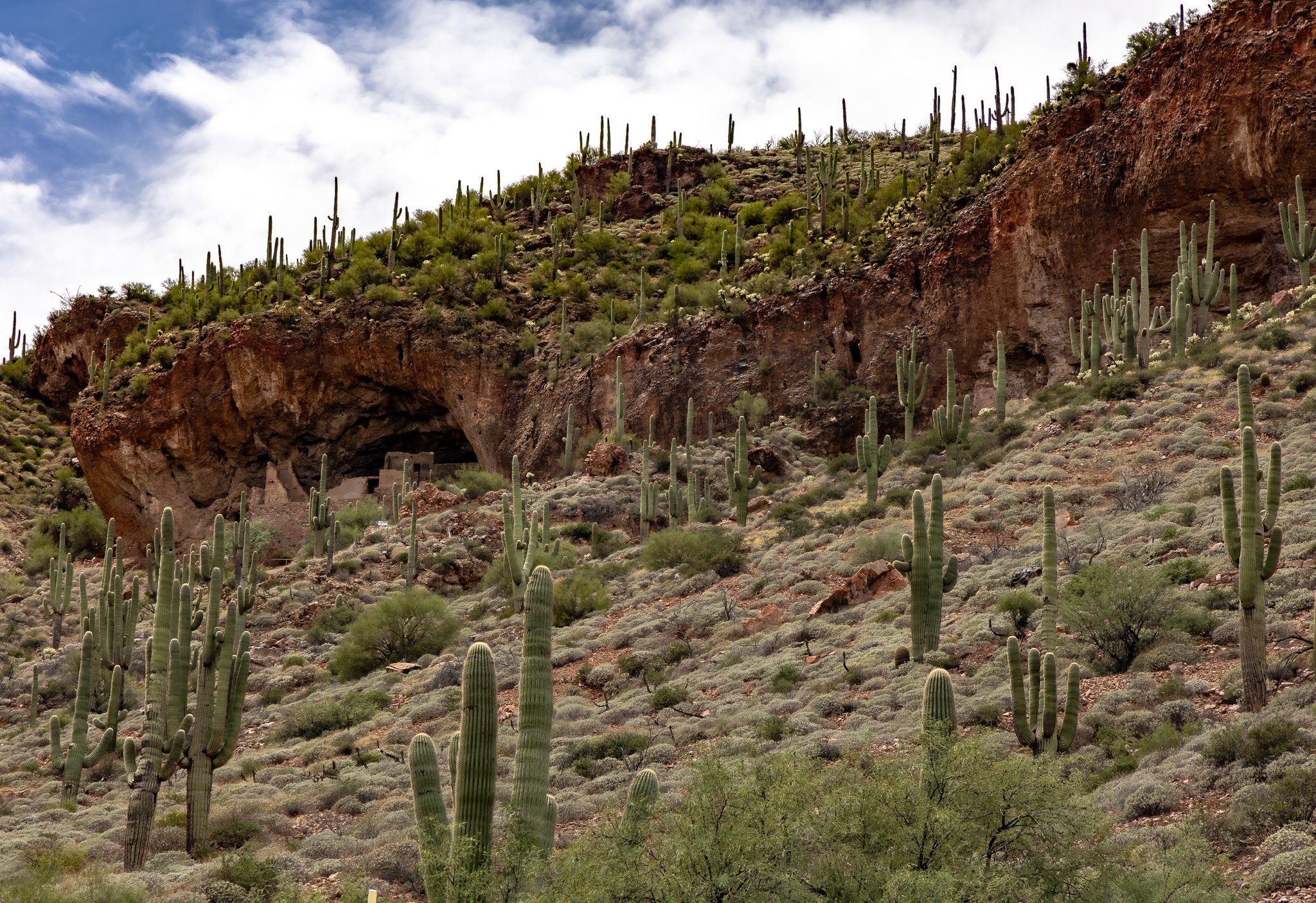 Tonto Nat Monument Cliff Dwellings