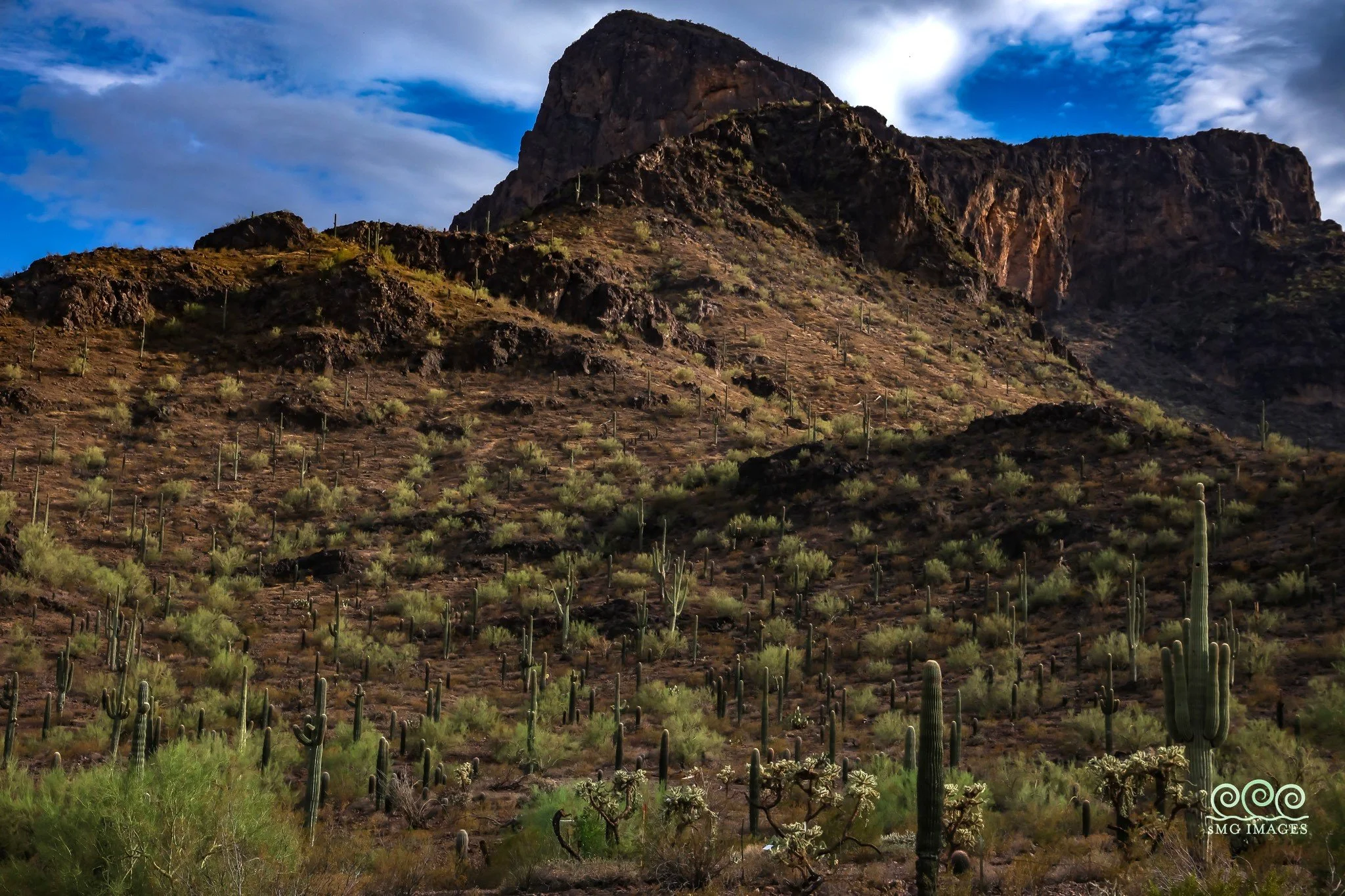 Picacho Peak SP