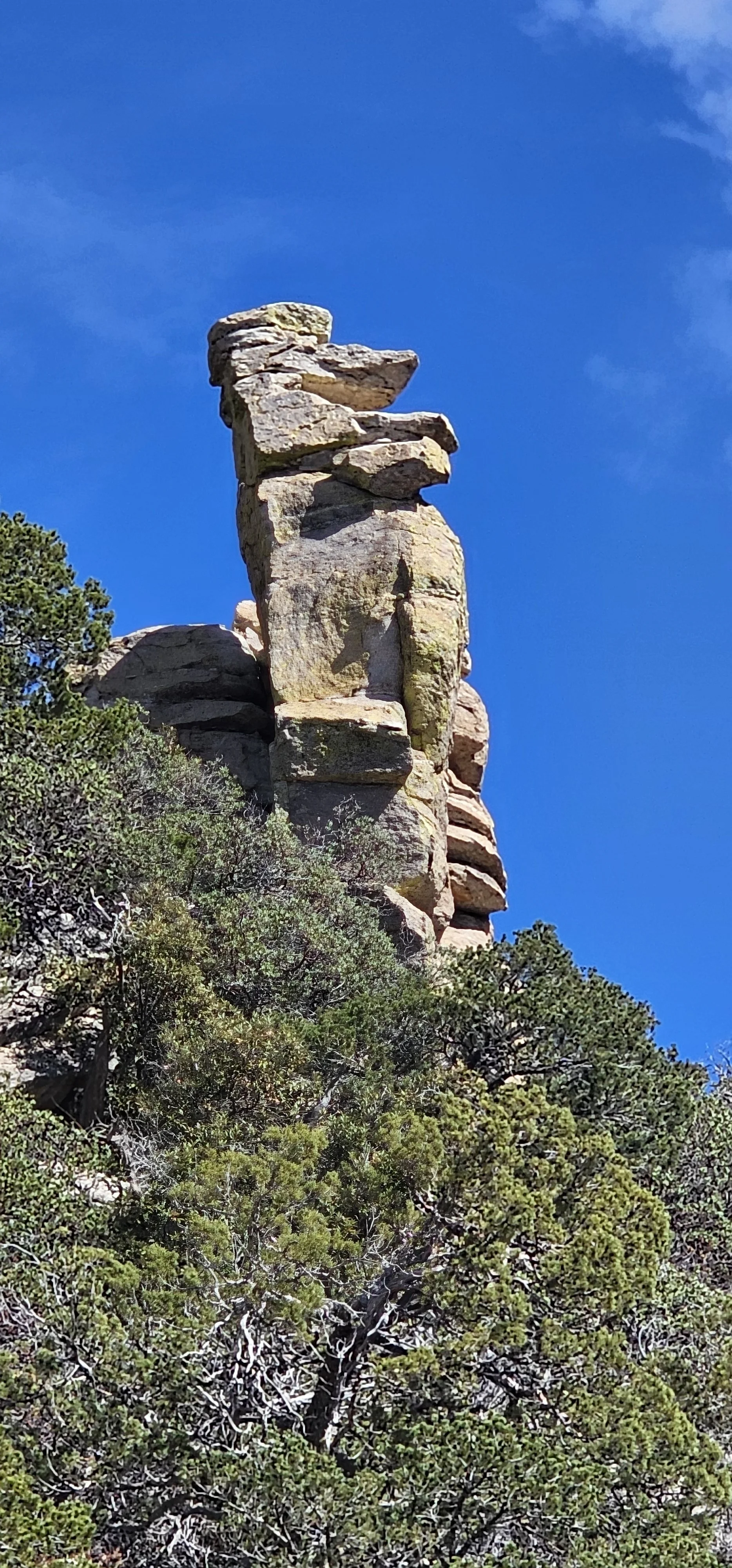 Mt Lemmon Duck Hoodoo