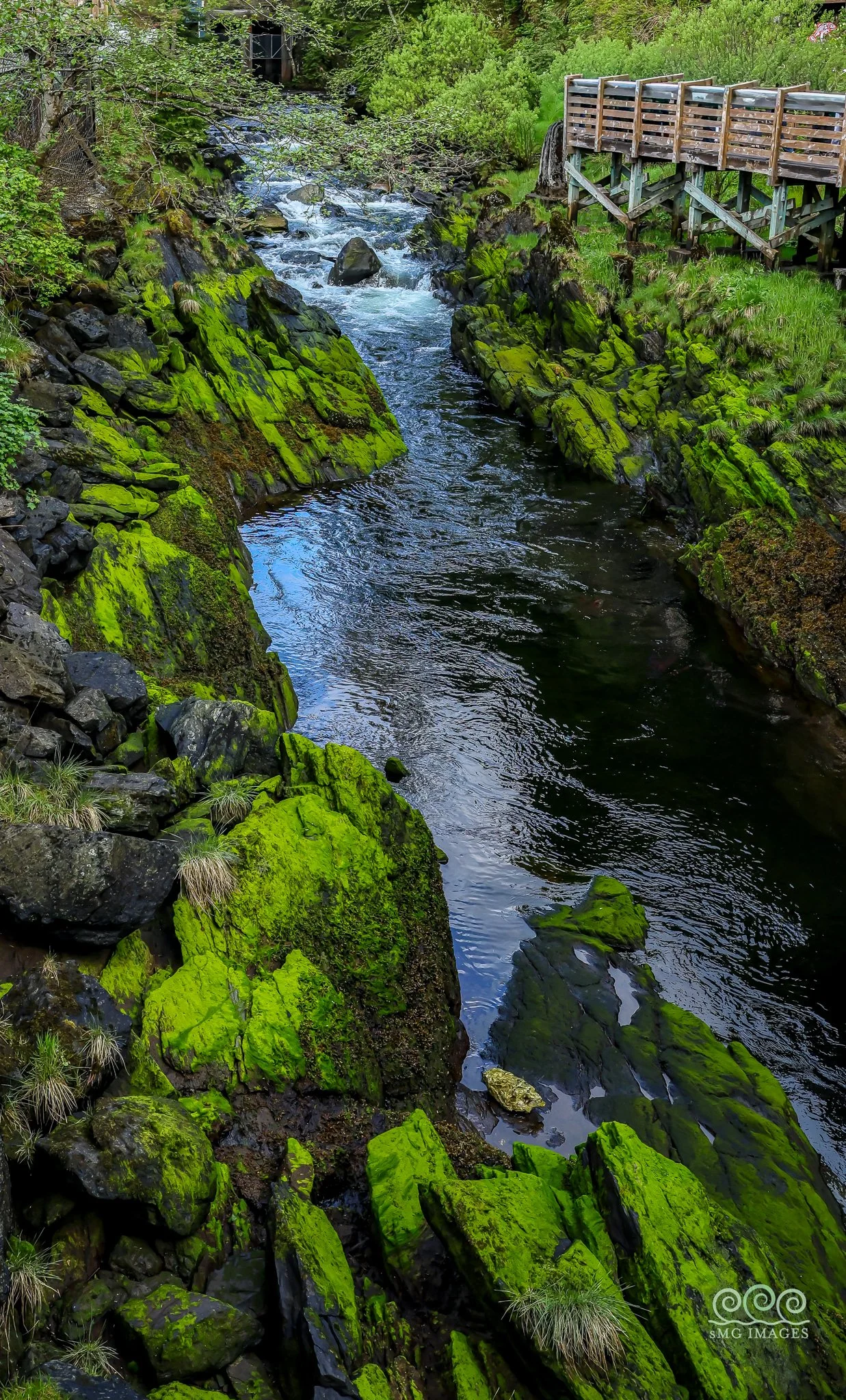 K-Upper K Creek Walkway
