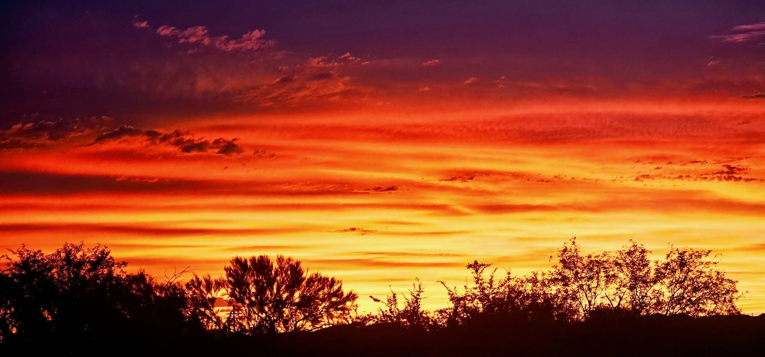 Marana Summer Sunset 2