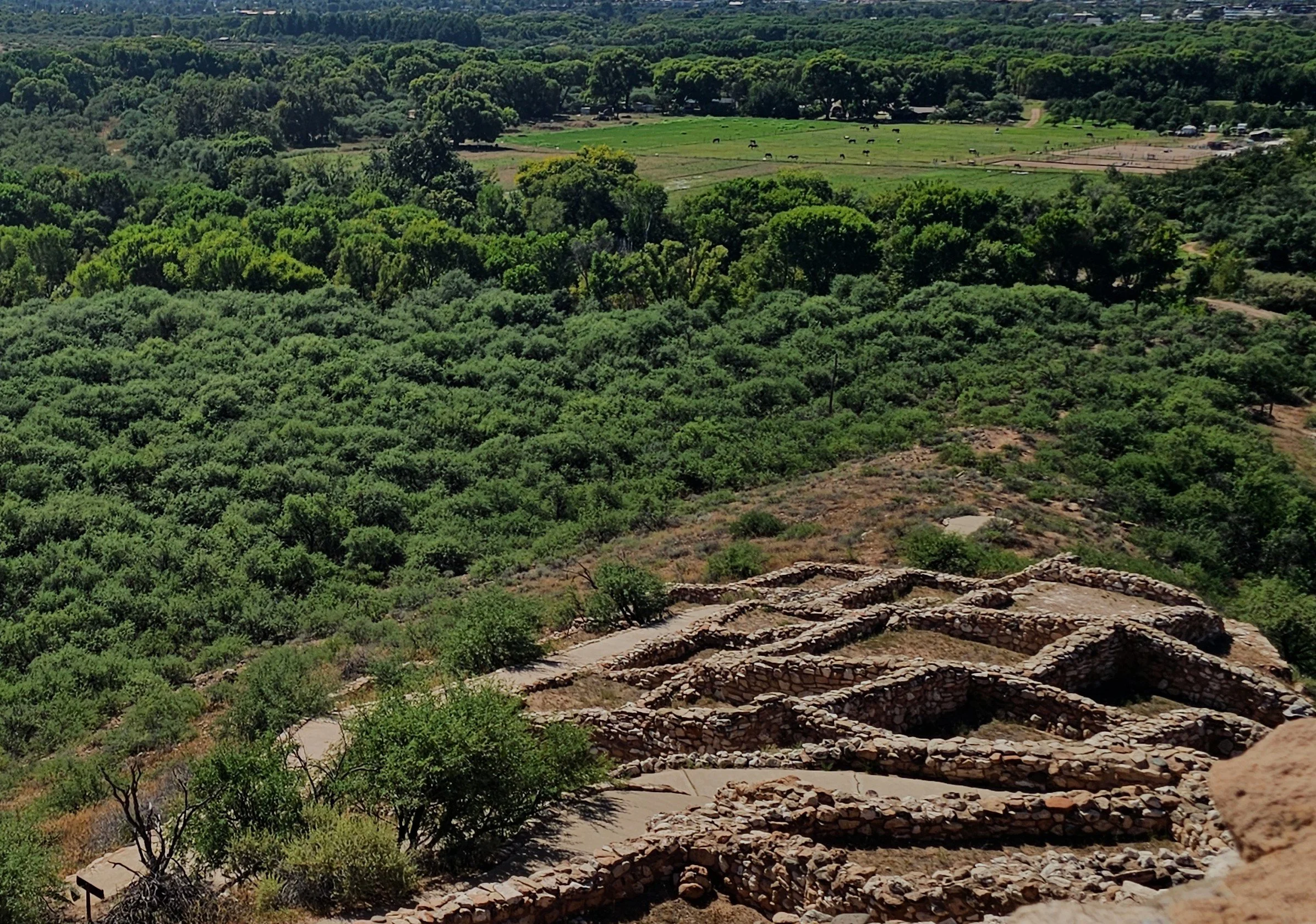 Tuzigoot NMon-Wetland & Fields from Top