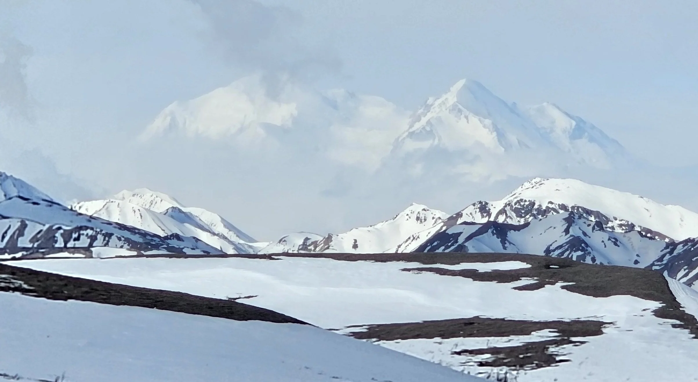 Denali from Park Road 2