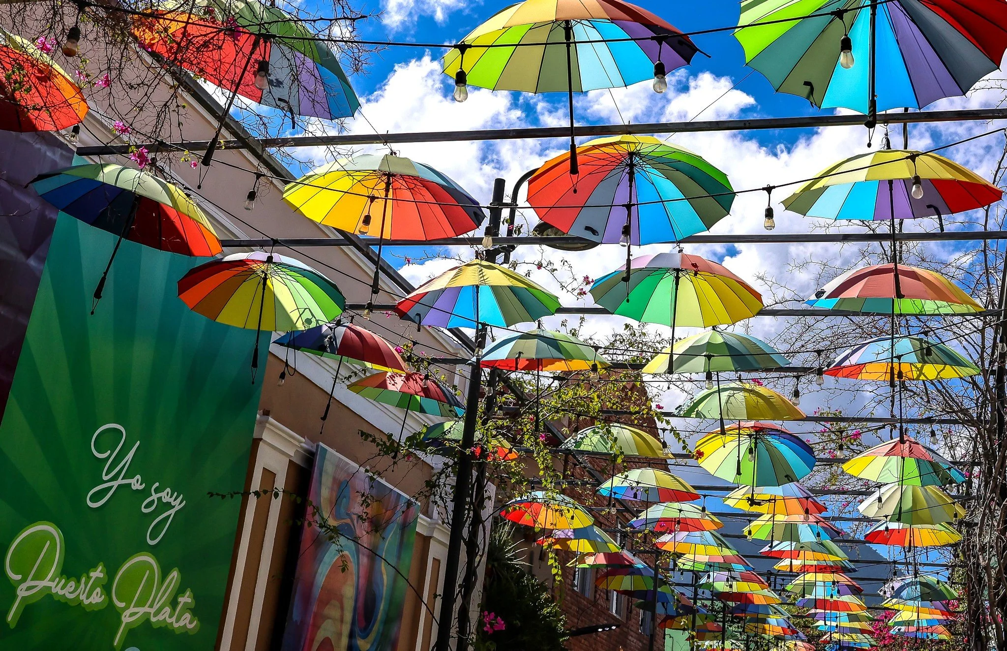 Umbrella Street