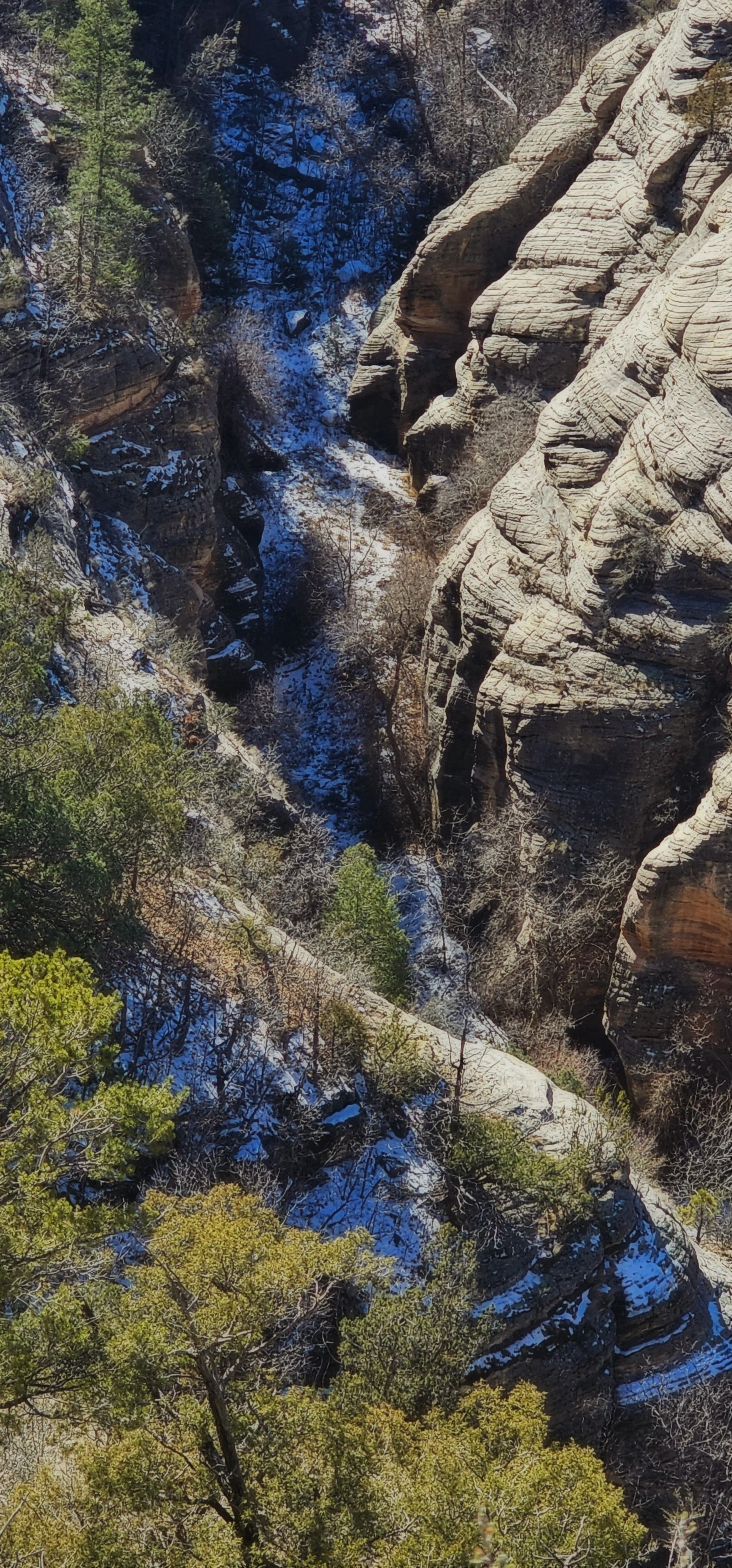 WC-Island Trail