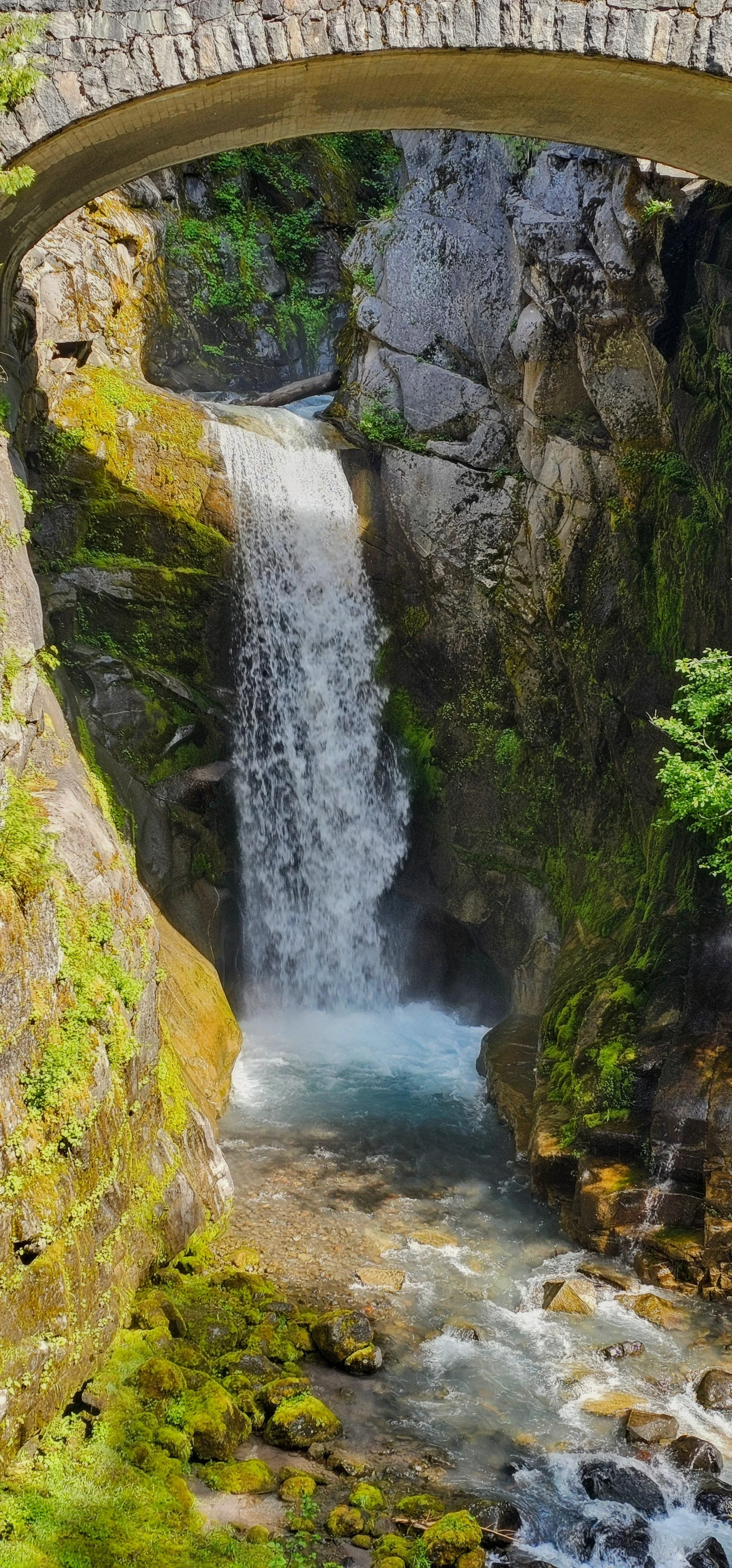 Wa-Mt Ranier Christine Falls