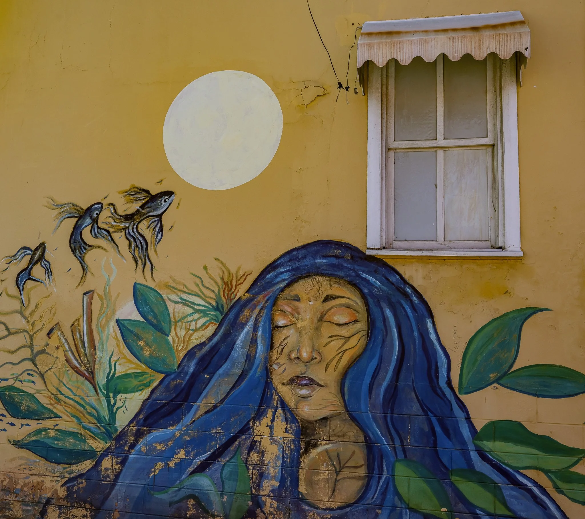 Neighborhood Street Art