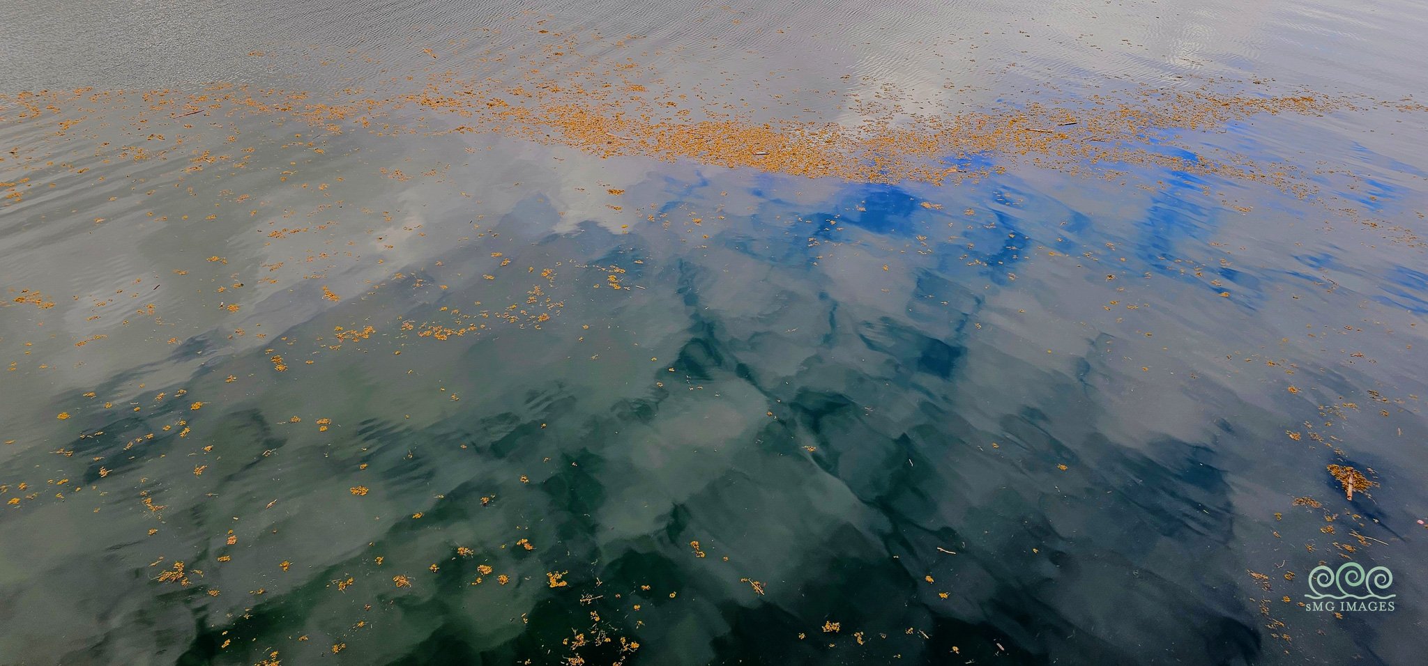 J-Bay Morning Pallete