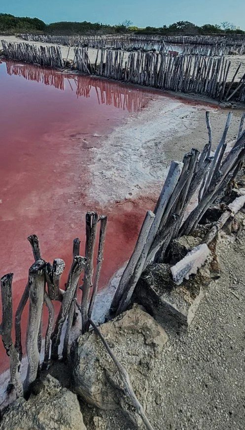 Pink Lakes Contrast