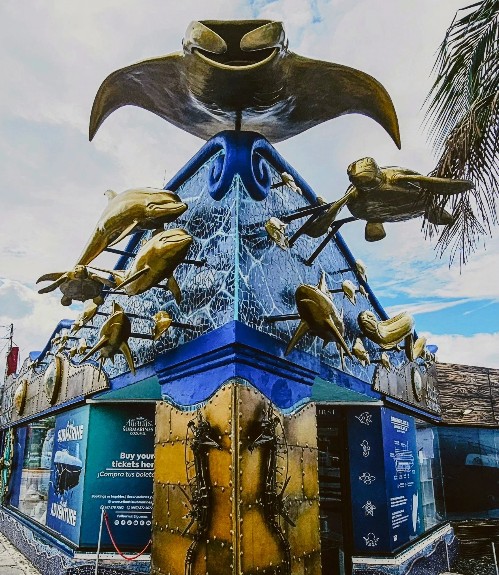 Dive Shop