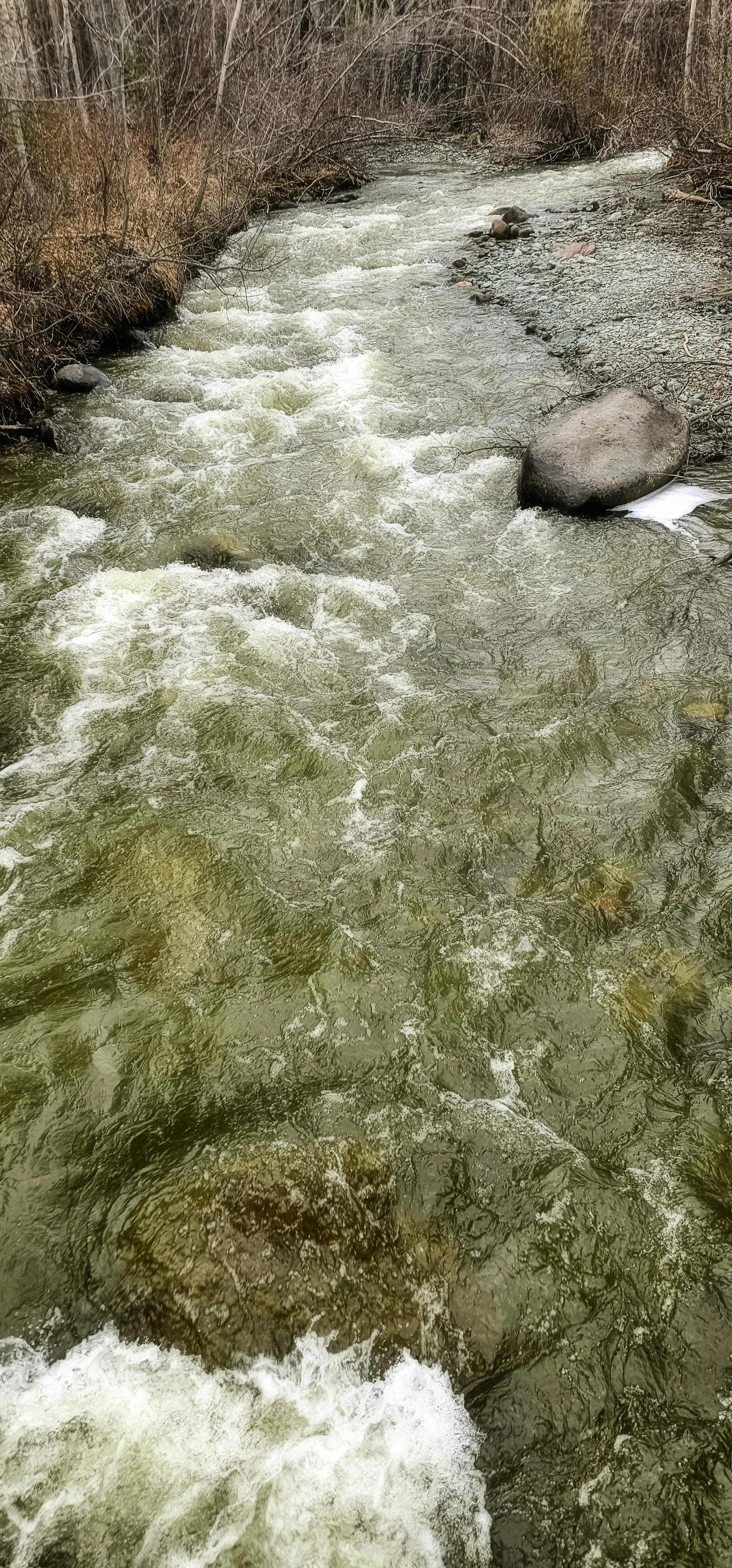 Copper River